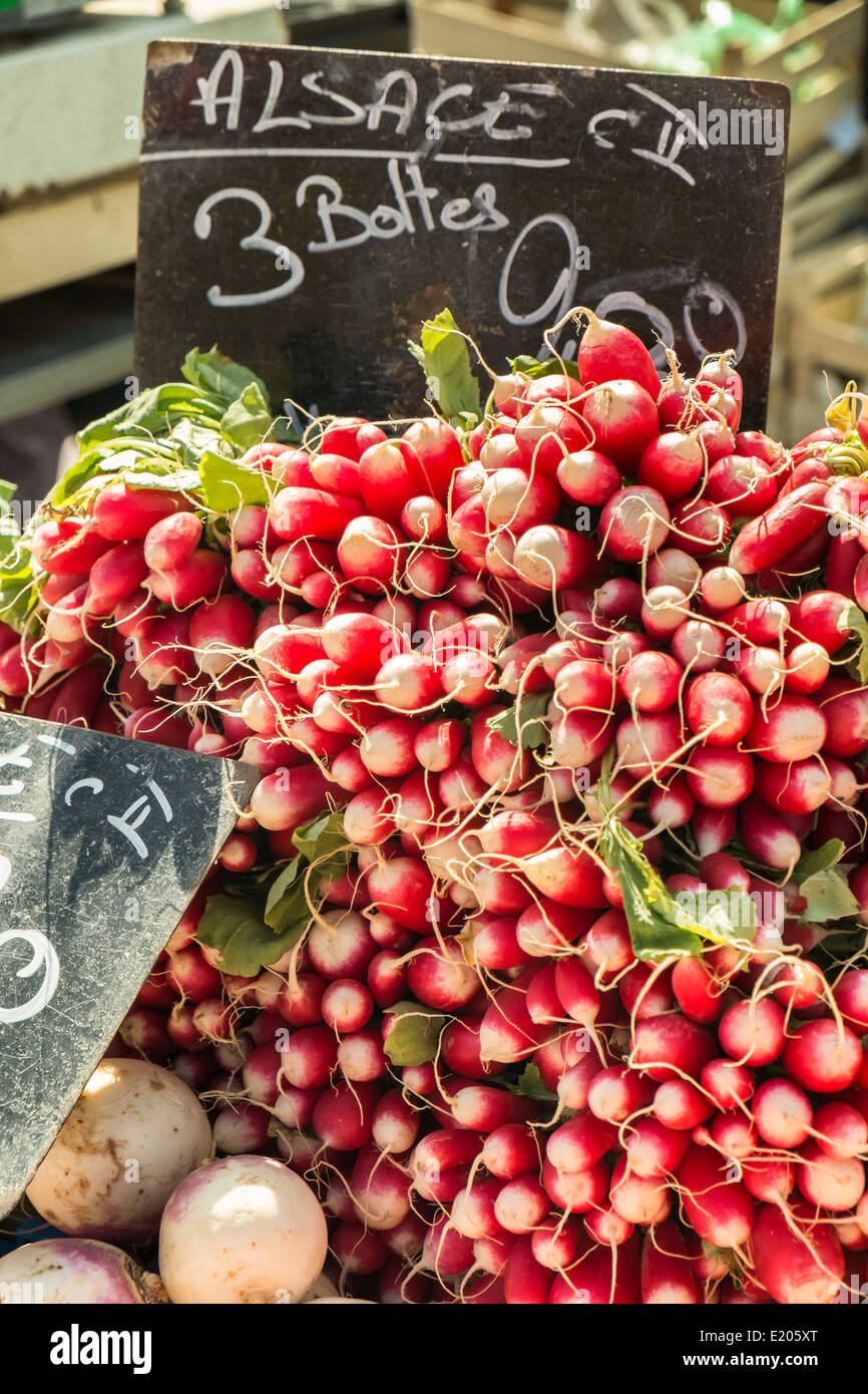 elsässische Radieschen für den Verkauf in einem outdoor-Markt, Mulhouse, Elsass, Frankreich Stockfoto