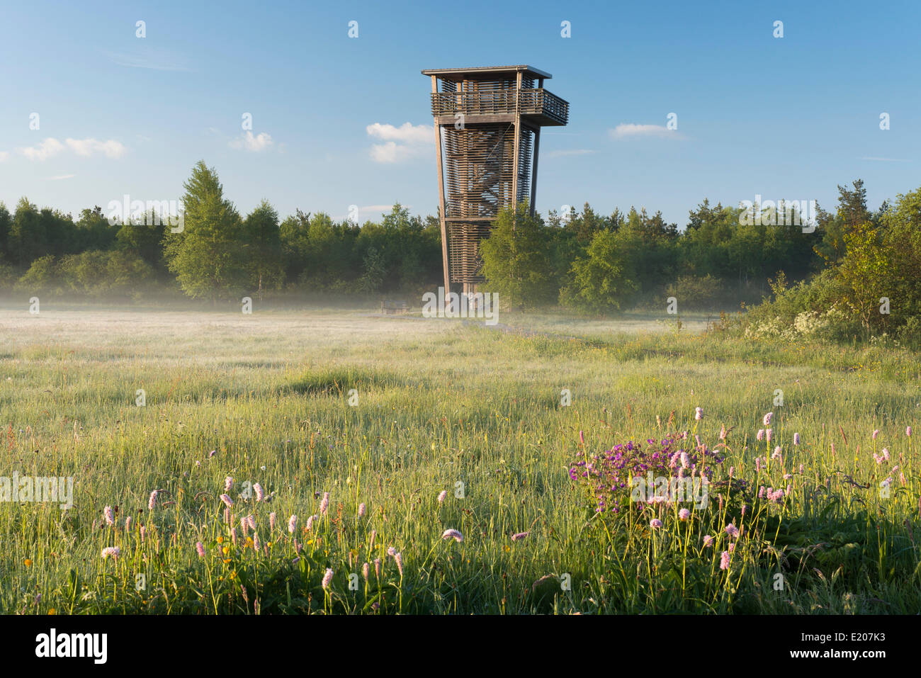 Aussichtsturm im schwarzen Moor Naturschutzgebiet, hohe moor, Biosphärenreservat Rhön, Fladungen, Bayern, Deutschland Stockfoto