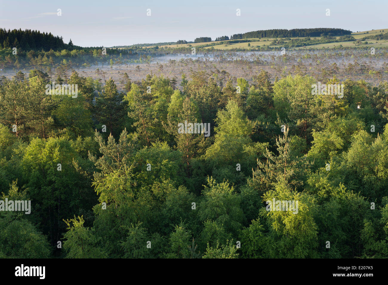 Schwarzes Moor-Naturschutzgebiet, Hochmoor, Rhön-Biosphärenreservat, Fladungen, Bayern, Deutschland Stockfoto