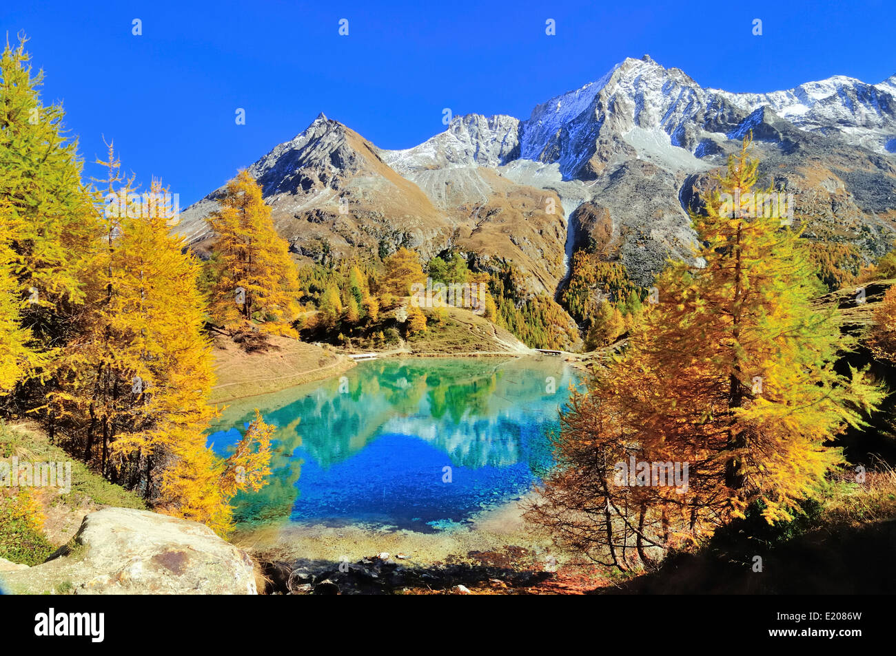 Lac Bleu mit herbstlichen Lärchen in Val d ' Arolla, Mt Dents de