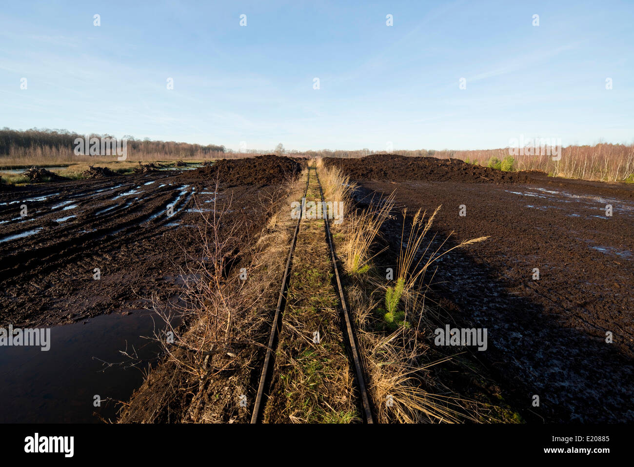 Torf schneiden Bereich und Rail-Tracks zu Transport Torf Grassoden, Großes Moor Naturschutzgebiet in der Nähe von Gifhorn, Niedersachsen, Deutschland Stockfoto