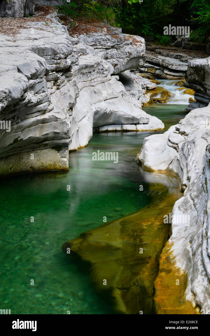 Taugl Fluss Tauglgries Naturschutzgebiet, Bad Vigaun, Bezirk Hallein, Salzburg, Österreich Stockfoto