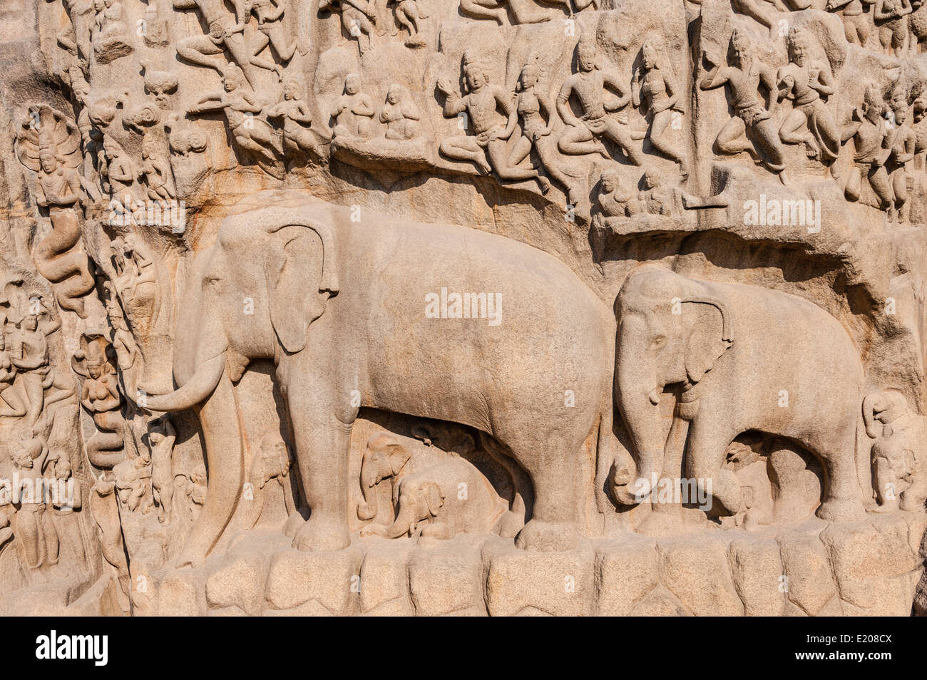Basrelief Herabkunft des Ganges, Mahabalipuram, Mamallapuram, Tamil Nadu, Kanchipuram, Indien Stockfoto
