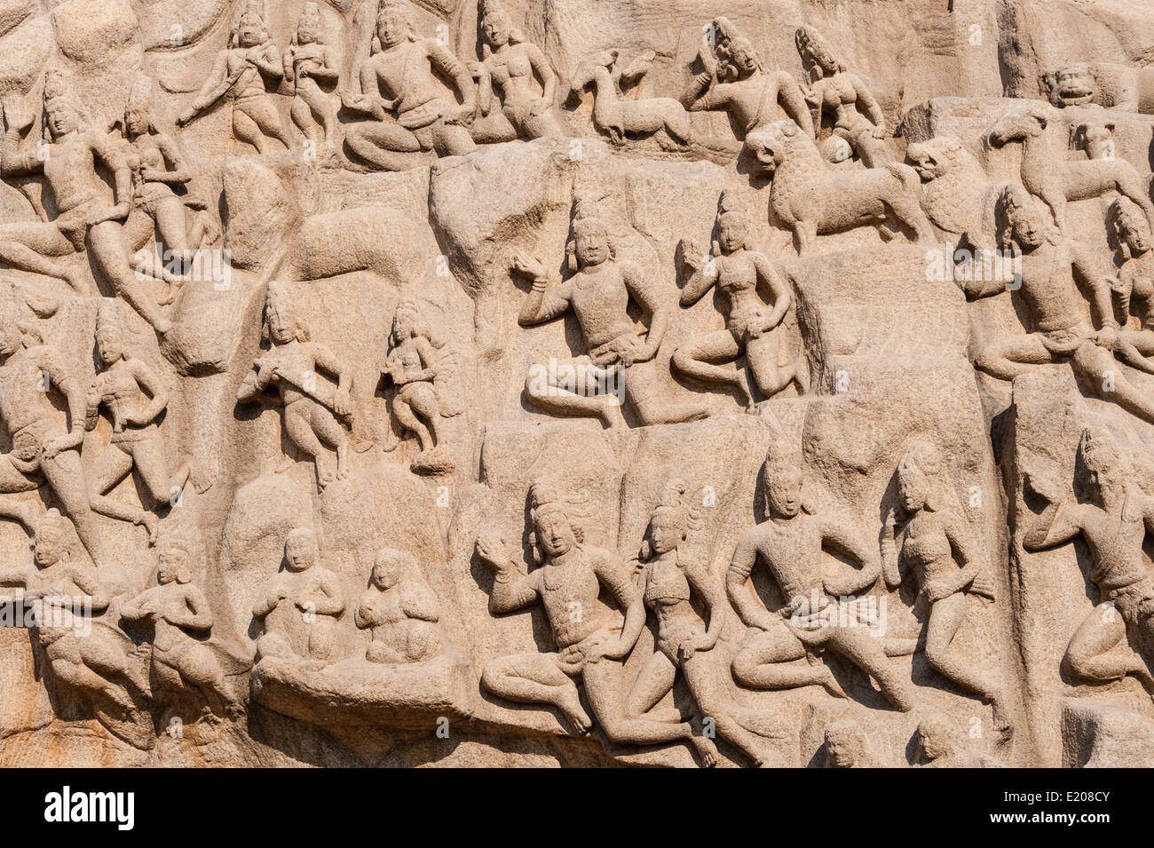 Basrelief Herabkunft des Ganges, Mahabalipuram, Mamallapuram, Tamil Nadu, Kanchipuram, Indien Stockfoto