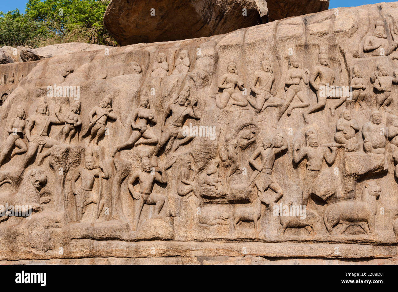 Basrelief Herabkunft des Ganges, Mahabalipuram, Mamallapuram, Tamil Nadu, Kanchipuram, Indien Stockfoto