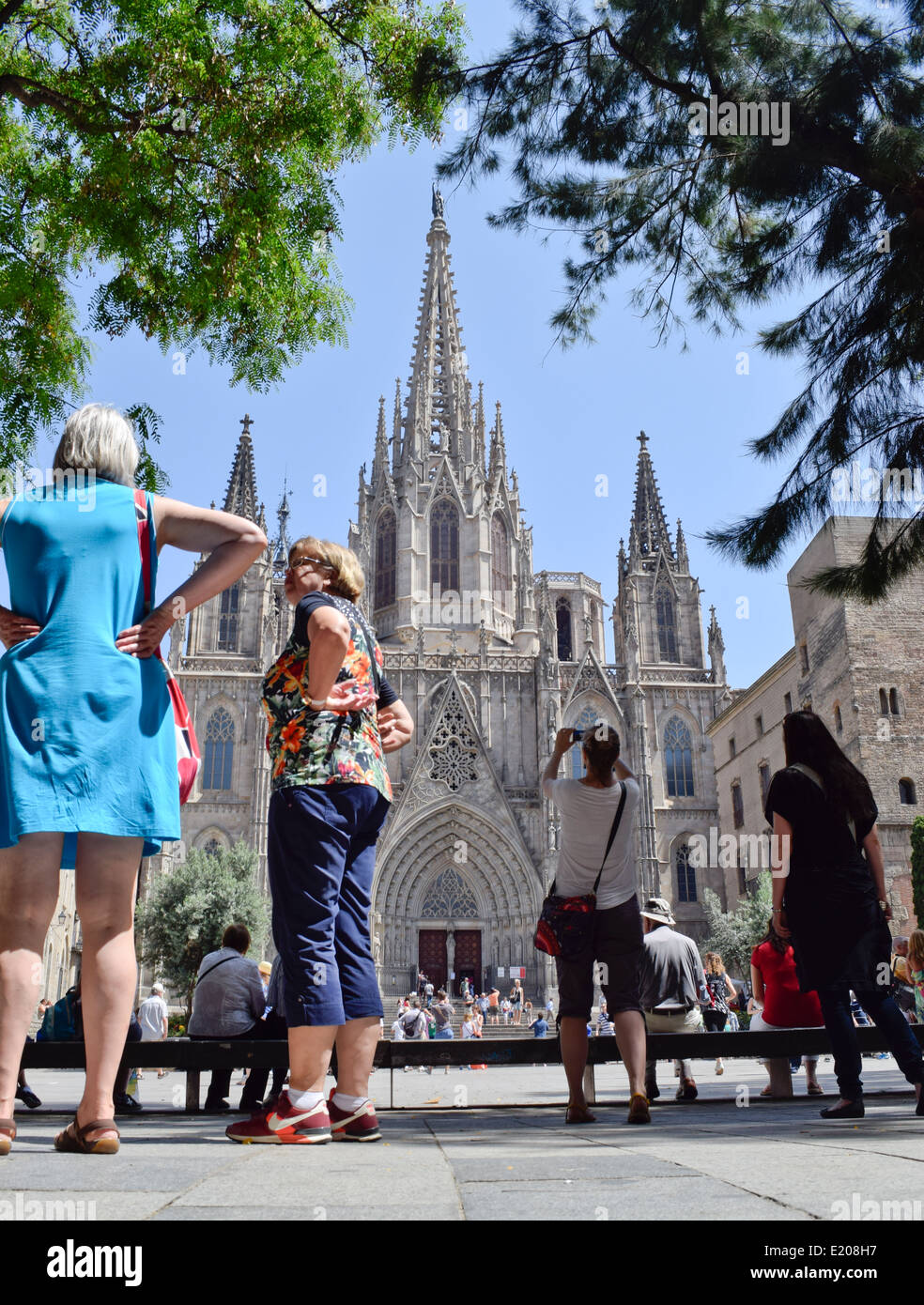 Kathedrale des Heiligen Kreuzes und Santa Eulalia, bekannt auch die Kathedrale von Barcelona. Barcelona, Katalonien, Spanien. Stockfoto