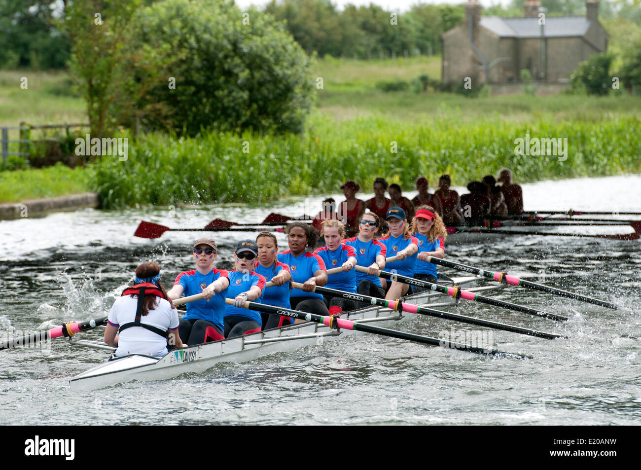 Cambridge, Cambridgeshire, Großbritannien. 11. Juni 2014.  Damen Achter-Rennen auf dem Fluss Cam in die 2014 Cambridge kann Beulen. Diese jährlichen Ruder-Event zwischen Universität findet über vier Tage und endet am Samstag, 14. Juni. Bildnachweis: Colin Underhill/Alamy Live-Nachrichten Stockfoto