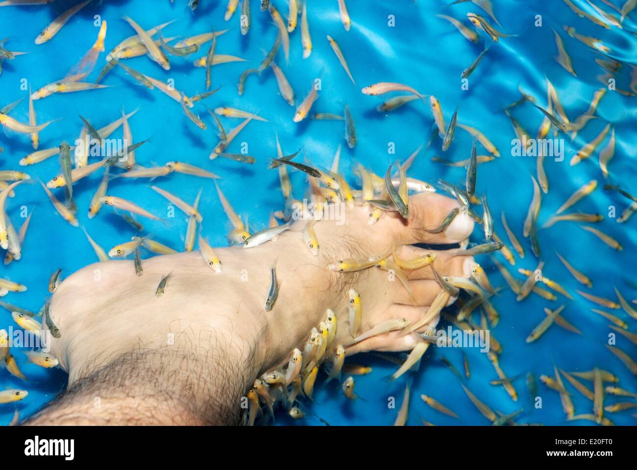 Fisch-spa Stockfoto