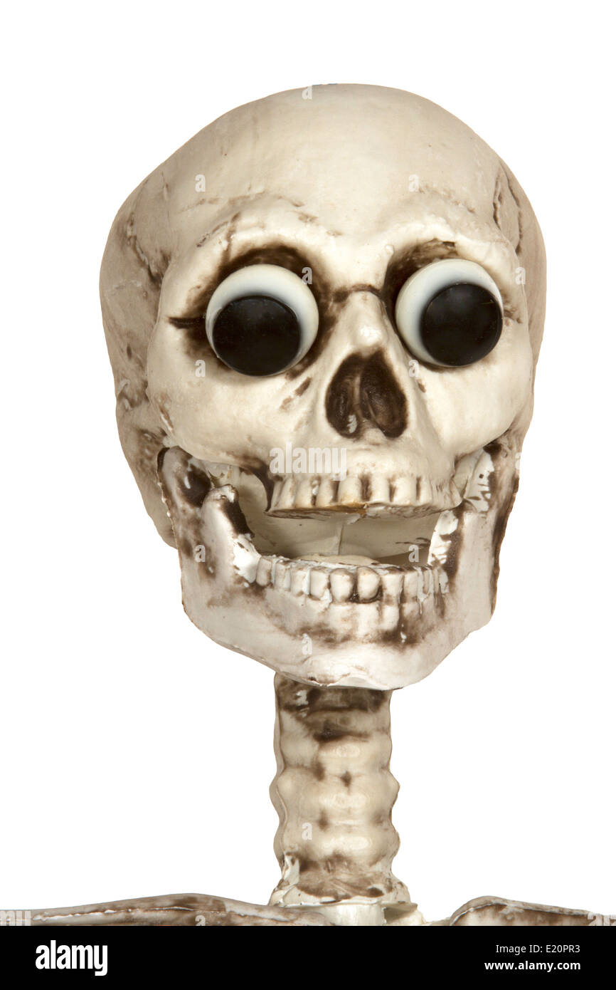 Skelett Kopf isoliert auf weiss mit weit aufgerissenen Augen Stockfoto