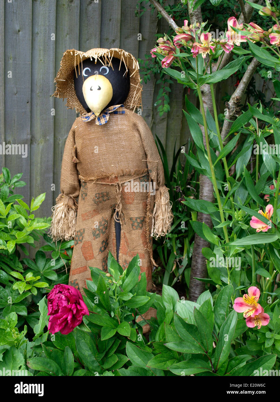 Lustige Vogelscheuche Stockfotos und bilder Kaufen Alamy