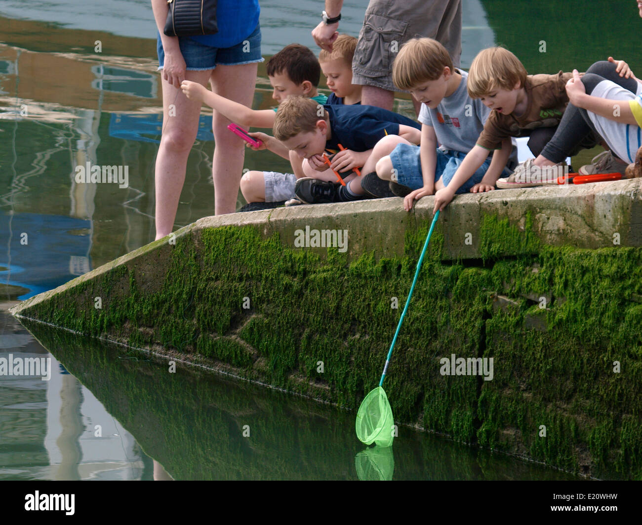 Kinder, die Krabben auf der Slipanlage am Hafen von Padstow, Cornwall, UK Stockfoto