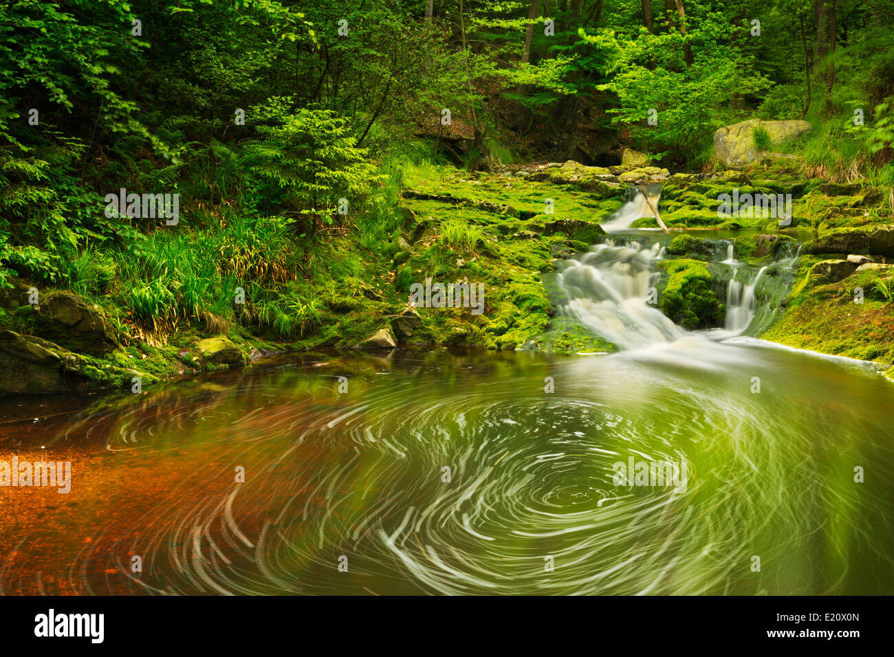 Ein kleiner Wasserfall in üppigen Wald in den Ardennen, Belgien. Stockfoto