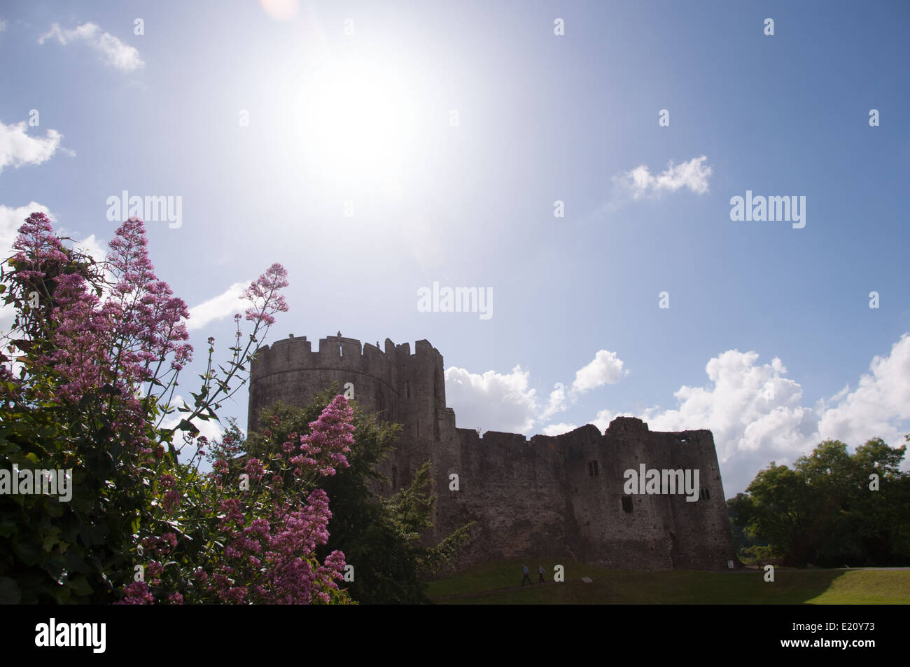 Nachschlagen in Chepstow Castle mit der Sonne, unten von einem blauen Himmel Stockfoto