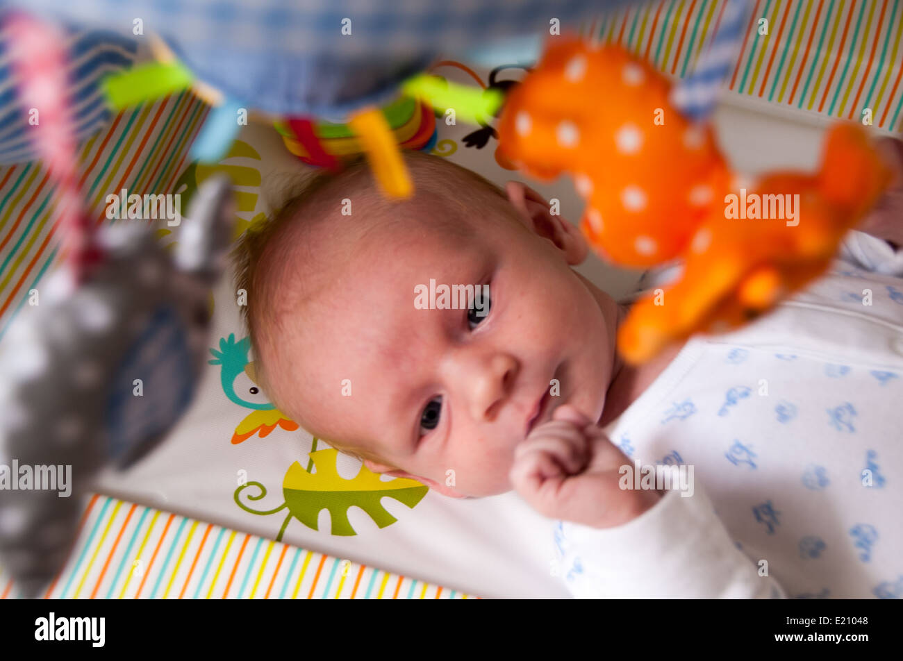 Neugeborenes Baby Spielzeug mobile blickte Stockfoto