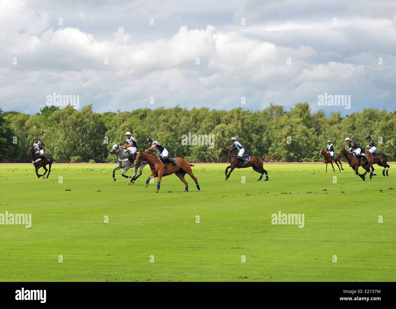 Spiel von Polo in einen englischen Park Stockfoto
