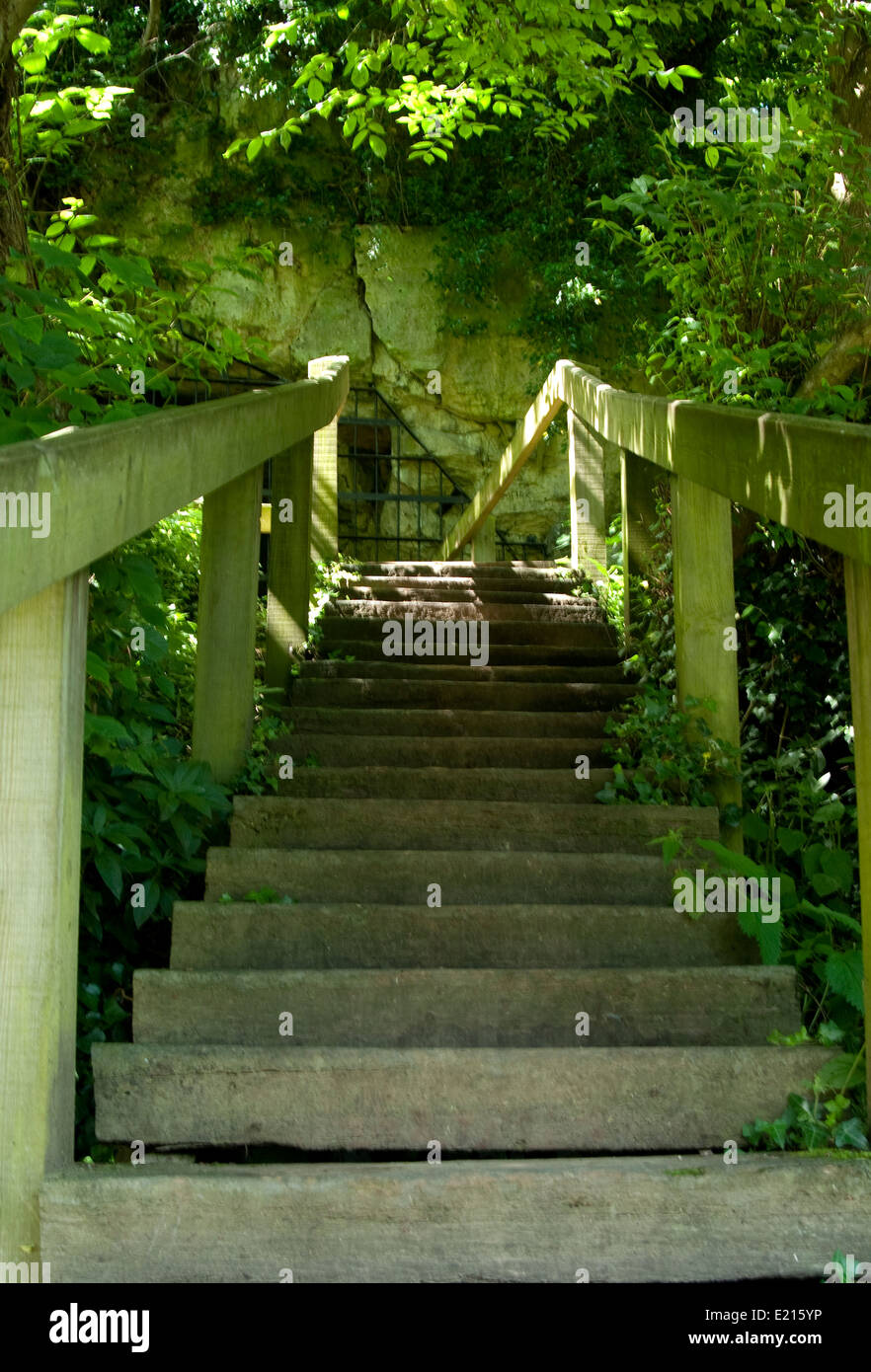 Creswell Crags Limestone Gorge an der Grenze zu Derbyshire/Nottinghamshire, England Vereinigtes Königreich - Archäologische Stätte von besonderem wissenschaftlichem Interesse. Stockfoto