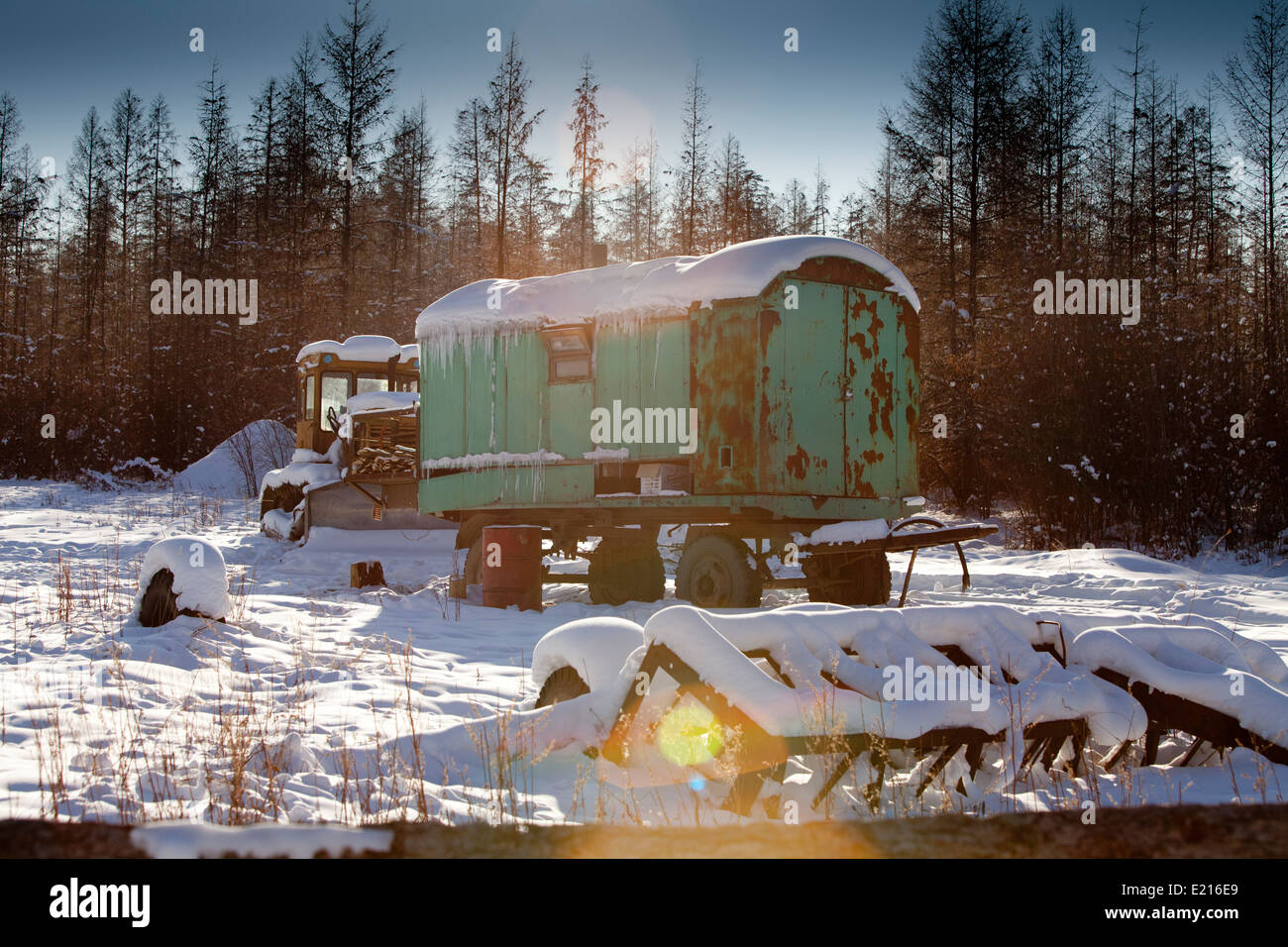 verschneite Wohnwagen Bäume Sonne Flare Bäume Stockfoto