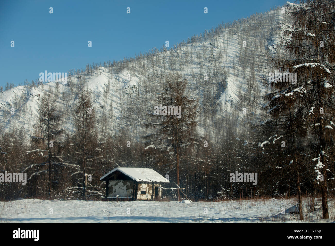 schneebedeckte Berge Hütte Wald Silhouette isoliert Stockfoto