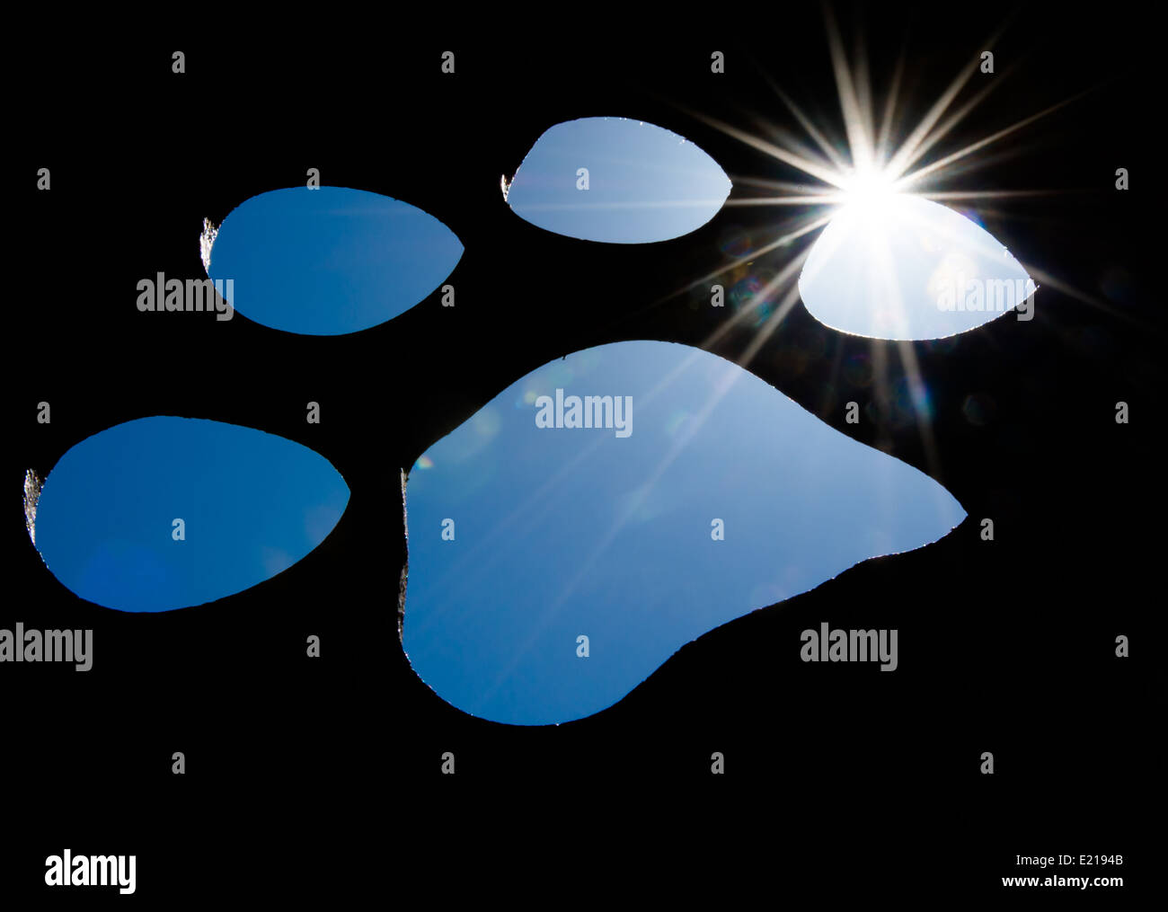 Silhouette EINER Katzenpfote mit hellem Sonnenlicht Stockfoto