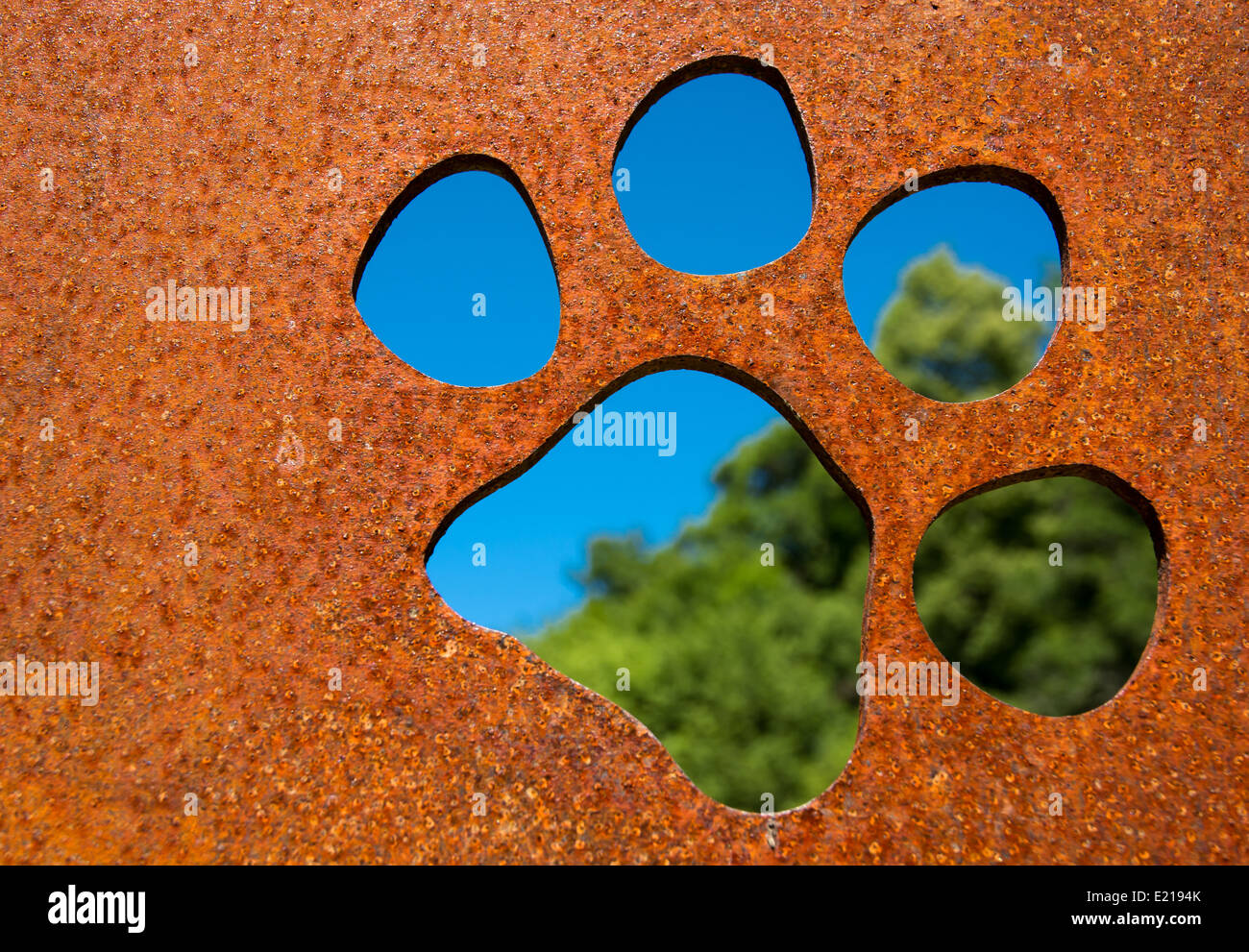 Silhouette EINER Katzenpfote in rostiger Metallwand Stockfoto