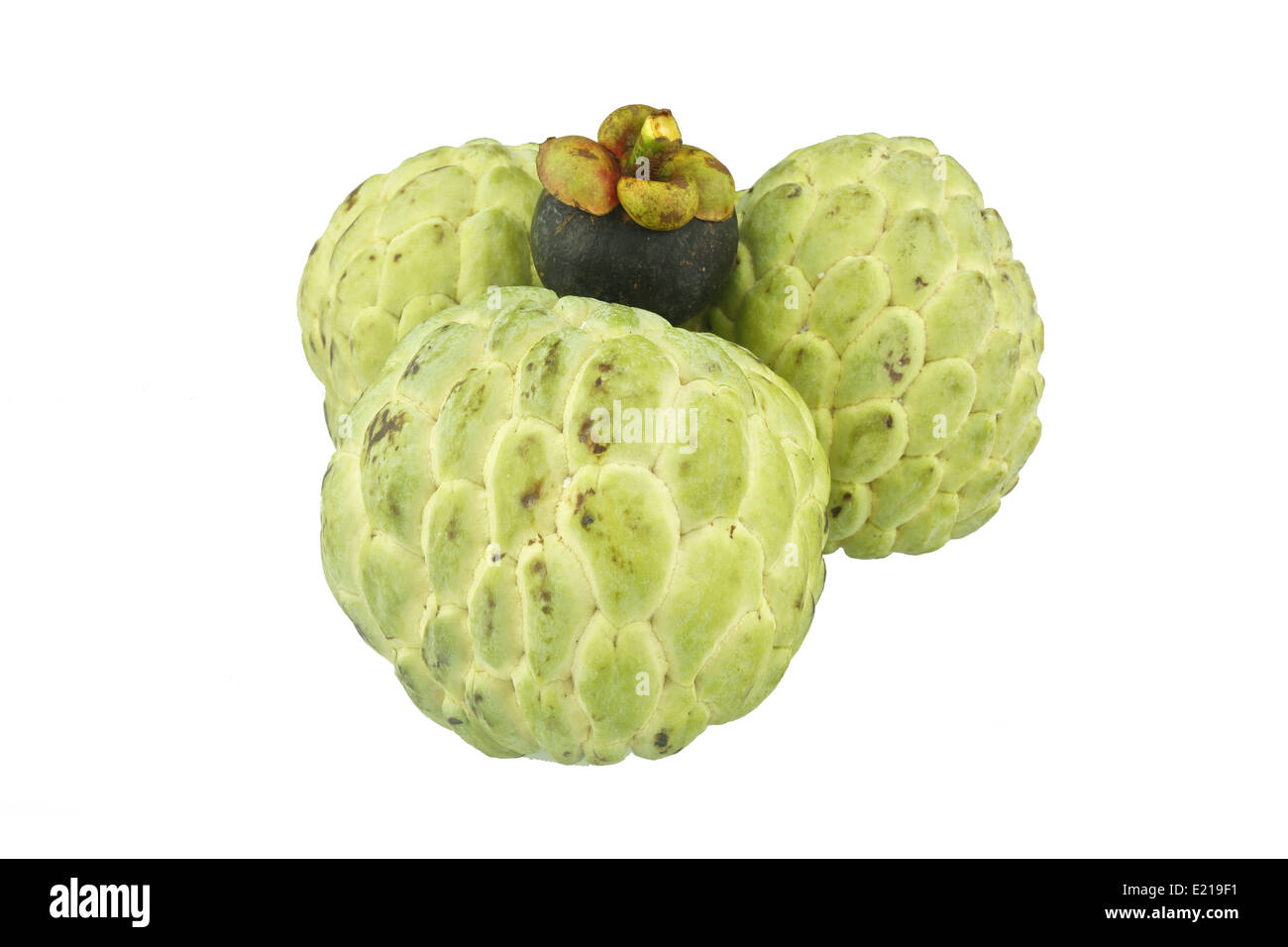 Custard Apple und Mangosteen isoliert auf weißem Hintergrund. Stockfoto