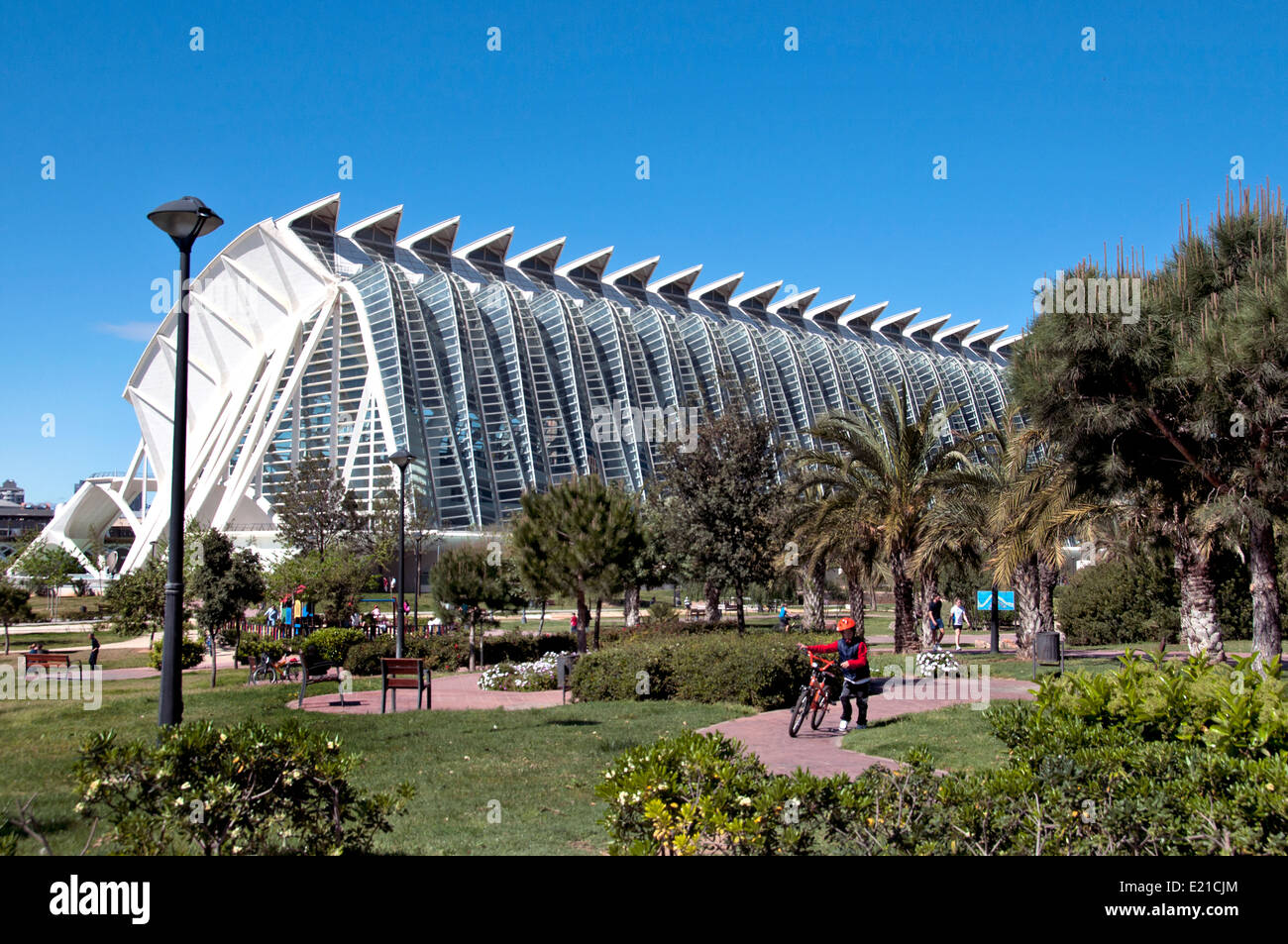 Spanien-Valencia-Künste und der Wissenschaften (Ciudad de Las Artes y Las Ciencias de Valencia) Park Spanien von Santiago Calatrava entworfen Stockfoto