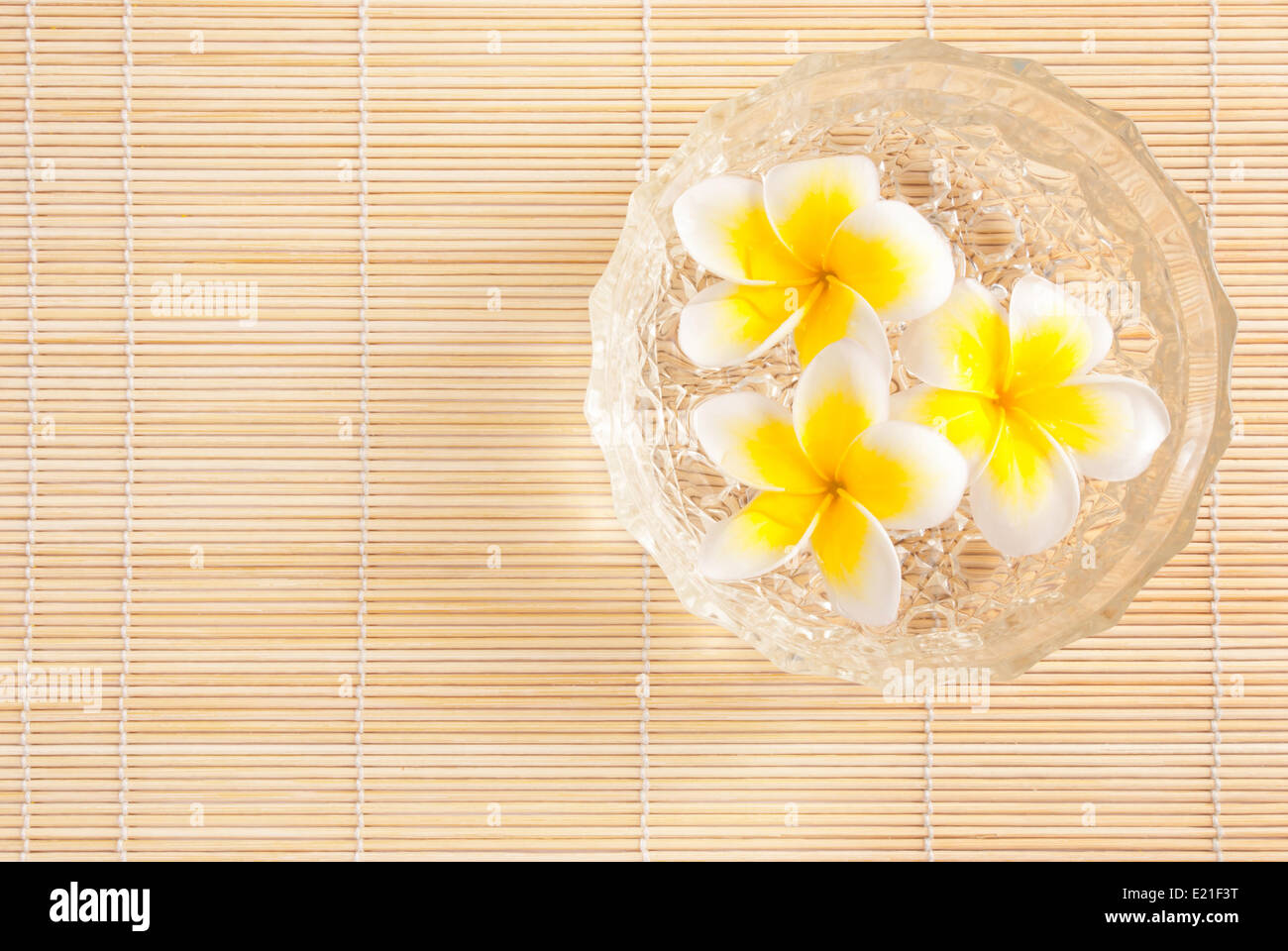 Leelawadee Blumen im Wasser Schüssel Stockfoto