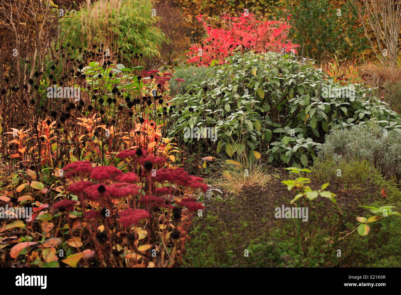 Herbstliche Atmosphäre Stockfoto