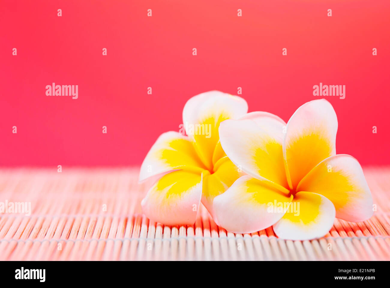 Leelawadee Blumen auf Bambus Textur Stockfoto