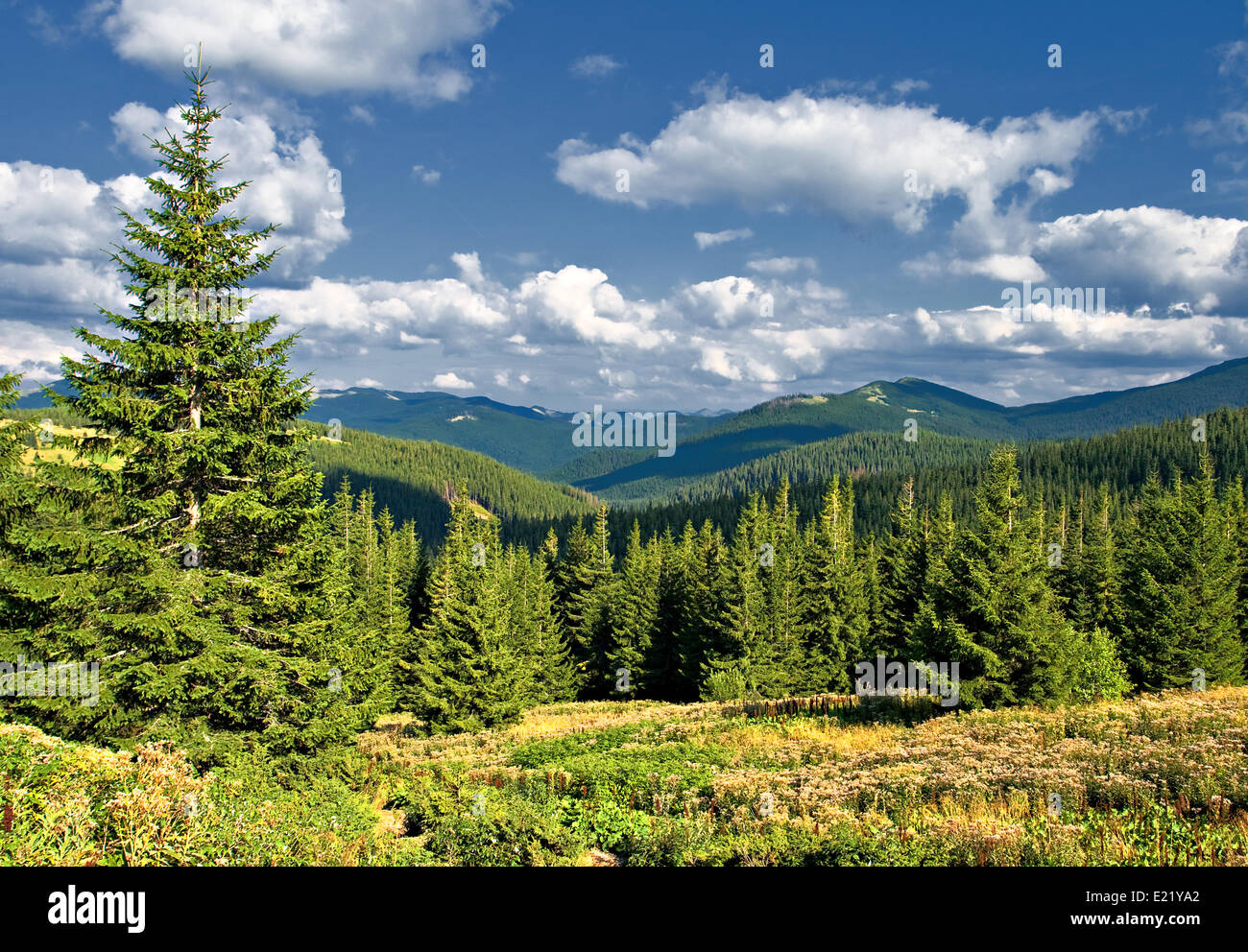 Grüne Hügel mit blauen Wolkenhimmel Stockfoto