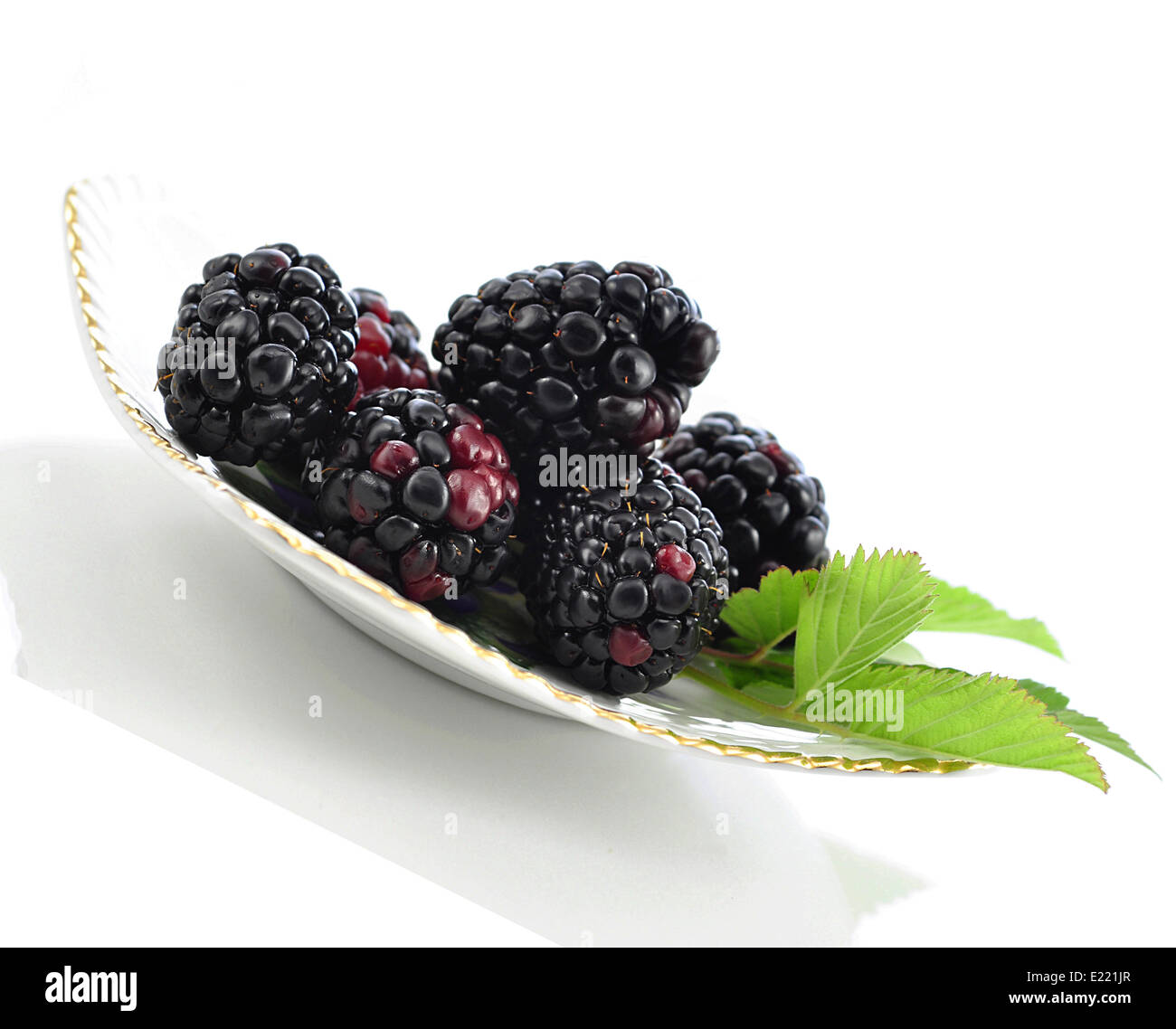 Blackberry Stockfoto