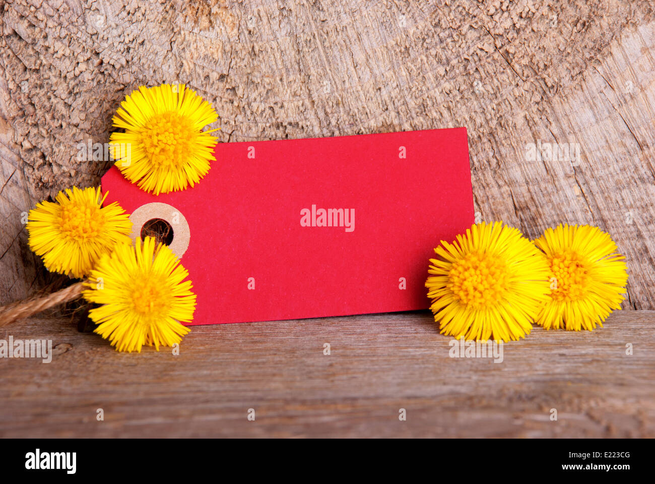 Leere Red Tag mit textfreiraum und gelbe Blumen Stockfoto