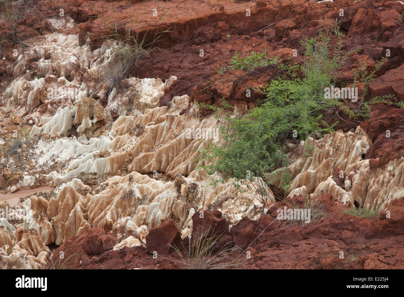 Tsingy von Ankarana, Madagaskar, Afrika Stockfoto