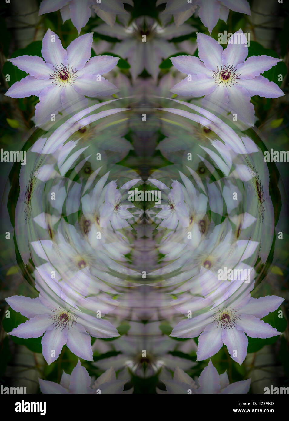 Geometrische, florale Ripple abstrakt Stockfoto