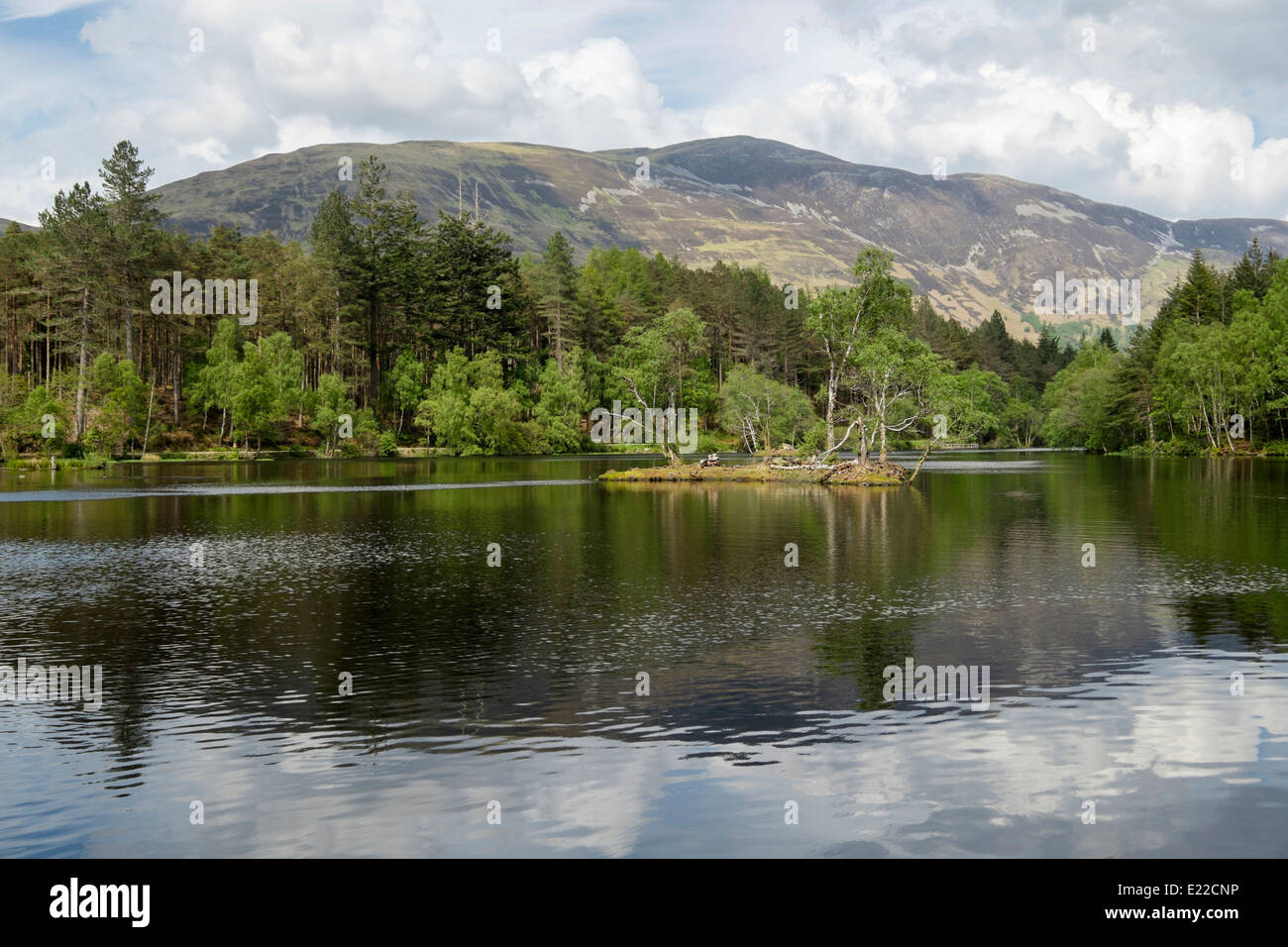 Glencoe Lochan und Wäldern von Lord Strathcona für kanadische Frau Isabella erstellt. Glencoe, Highland, Schottland, Großbritannien Stockfoto