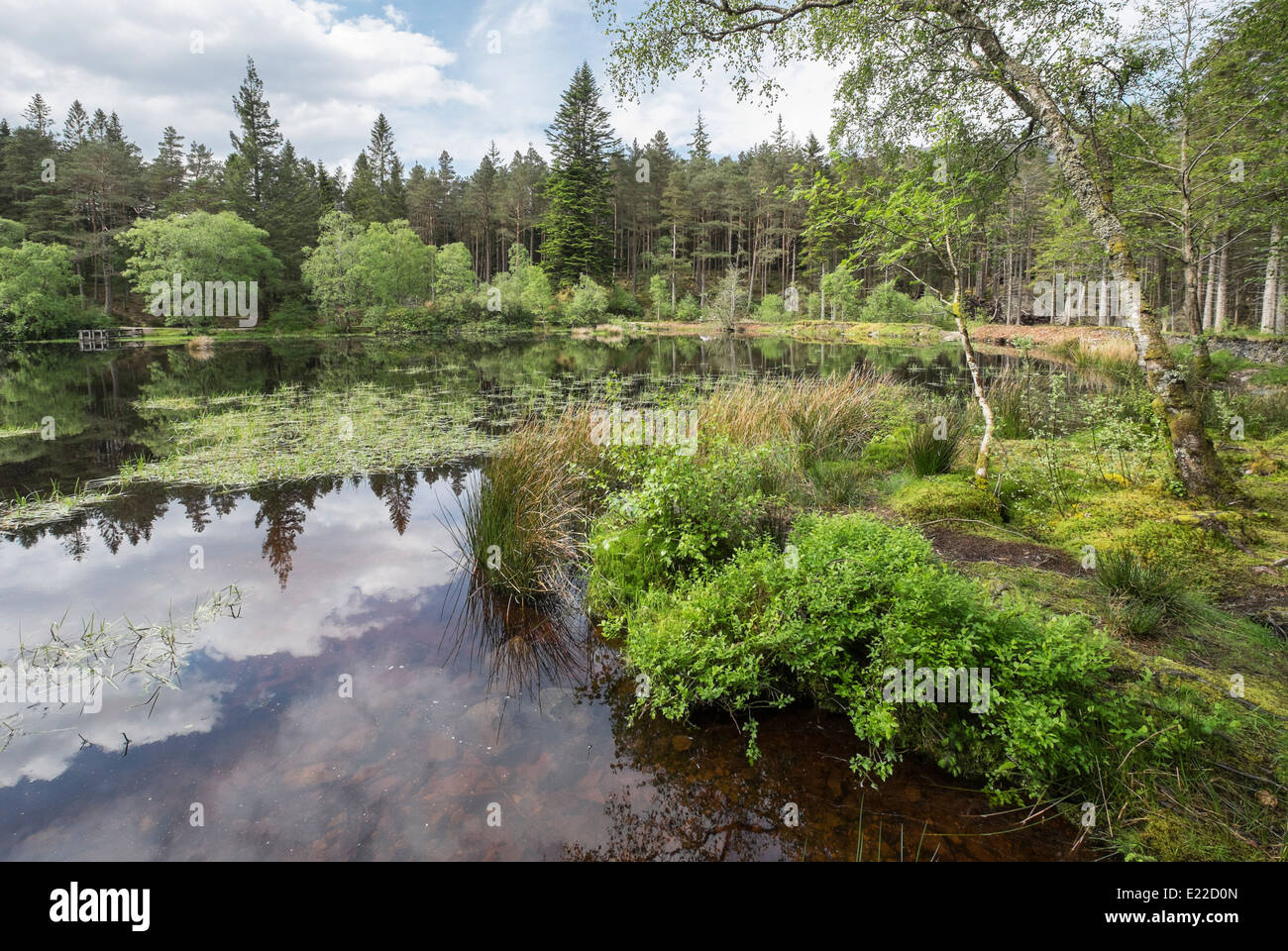 Glencoe Lochan Süßwasser loch in der Forstwirtschaft Die Wälder. Glencoe, Highland, Schottland, Großbritannien, Großbritannien Stockfoto