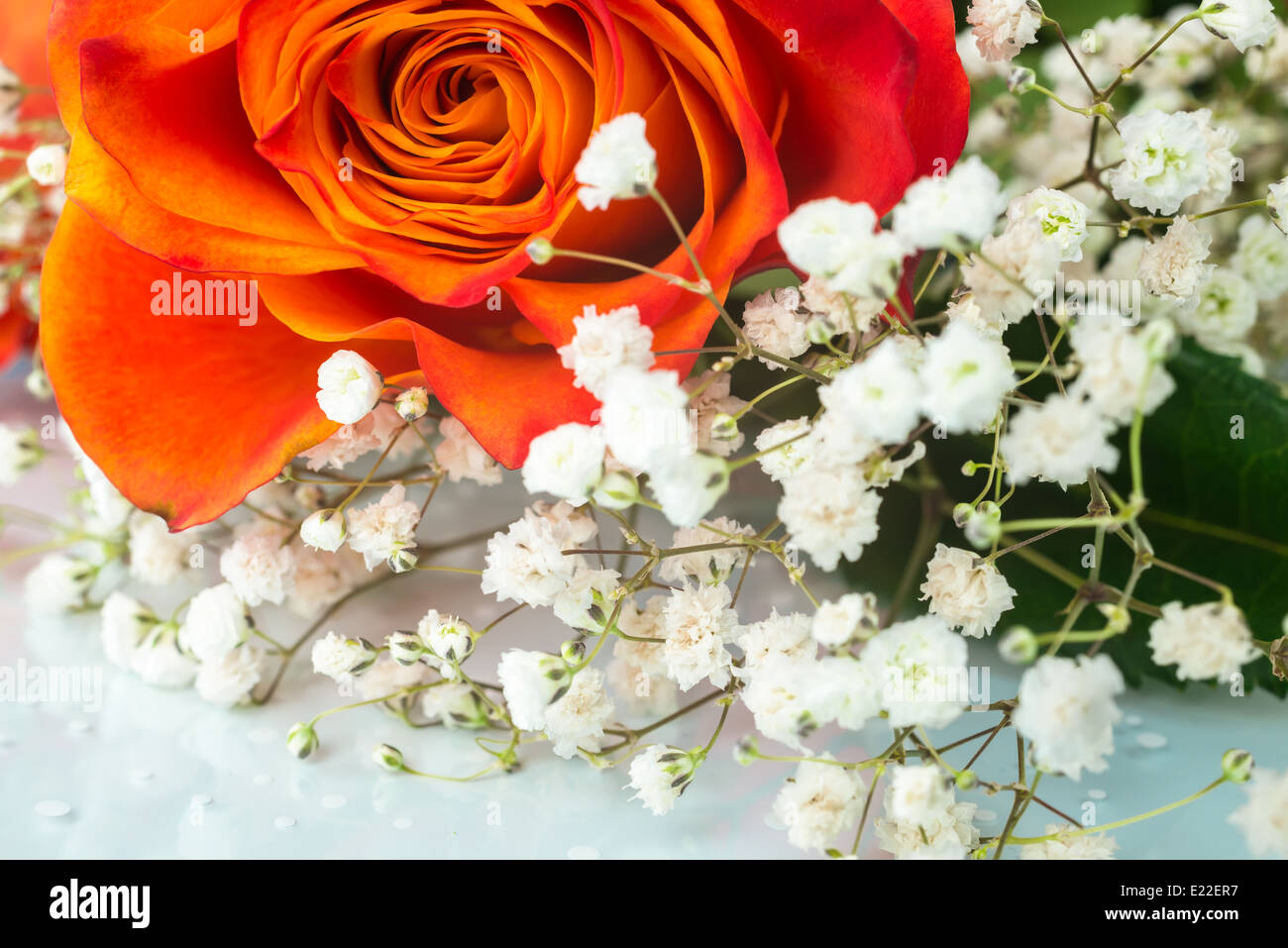 Bouquet von orange Rose mit weißen Blüten Nahaufnahme, Hintergrund Stockfoto