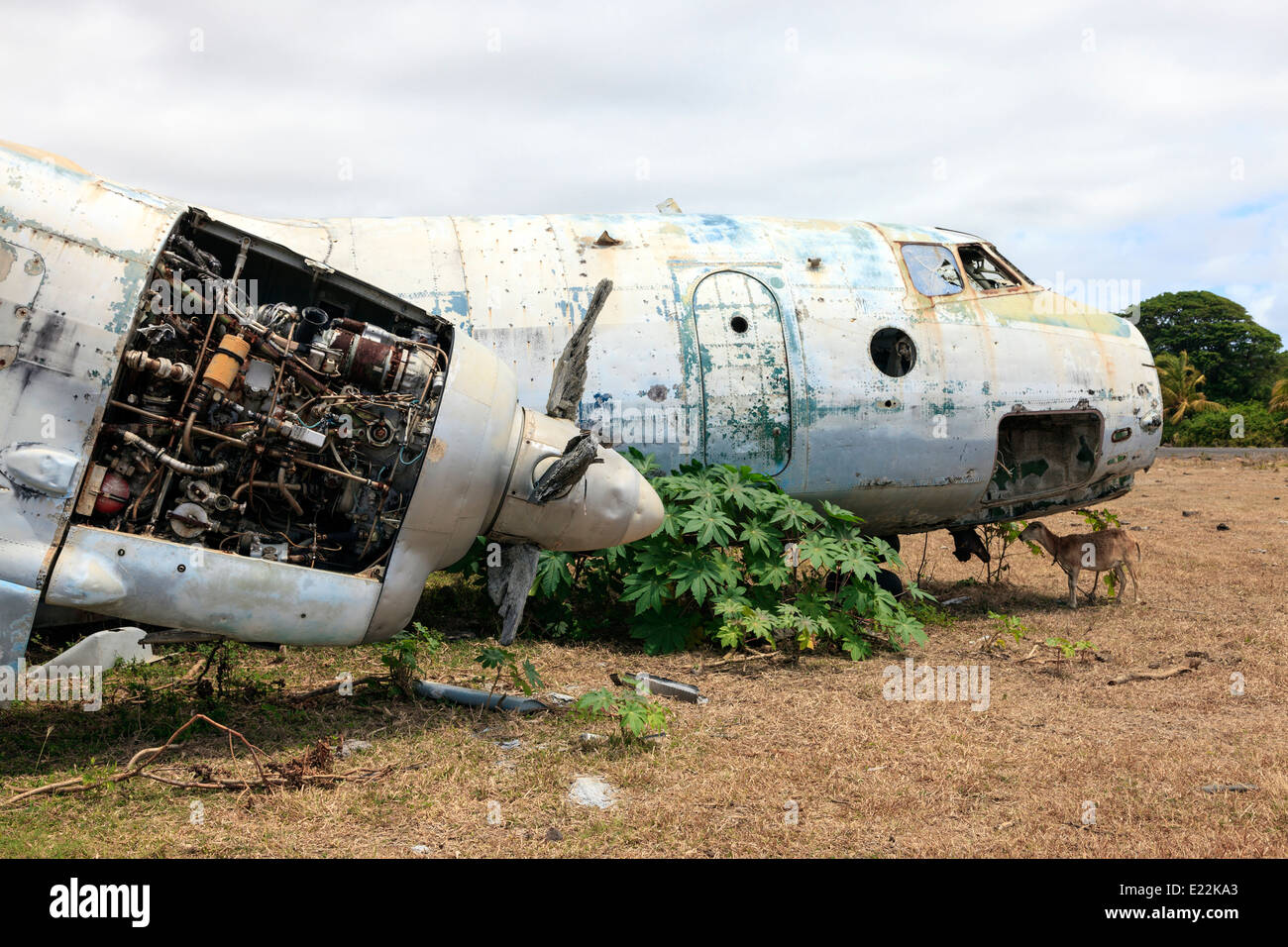 Wrack eines russischen Antonov AN26 Flugzeugs an Perlen Flugplatz, Grenville, Grenada, West Indies Stockfoto