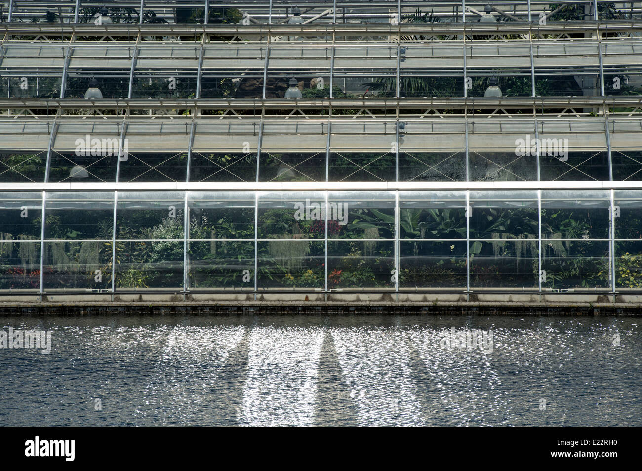 Sonne reflektiert Gewächshaus auf den See bei RHS Wisley Gardens. Surrey, England Stockfoto