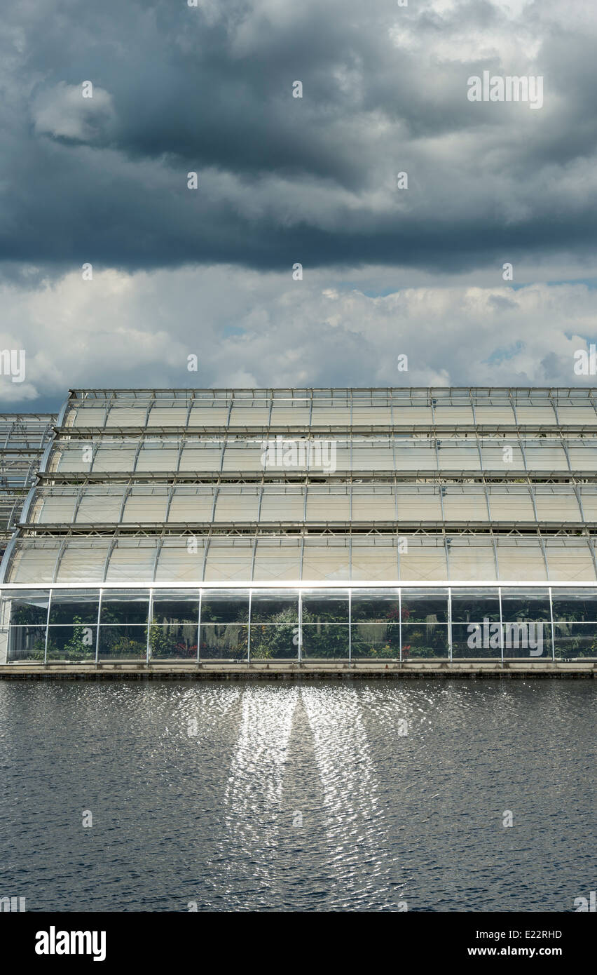 Sonne reflektiert Gewächshaus auf den See bei RHS Wisley Gardens. Surrey, England Stockfoto
