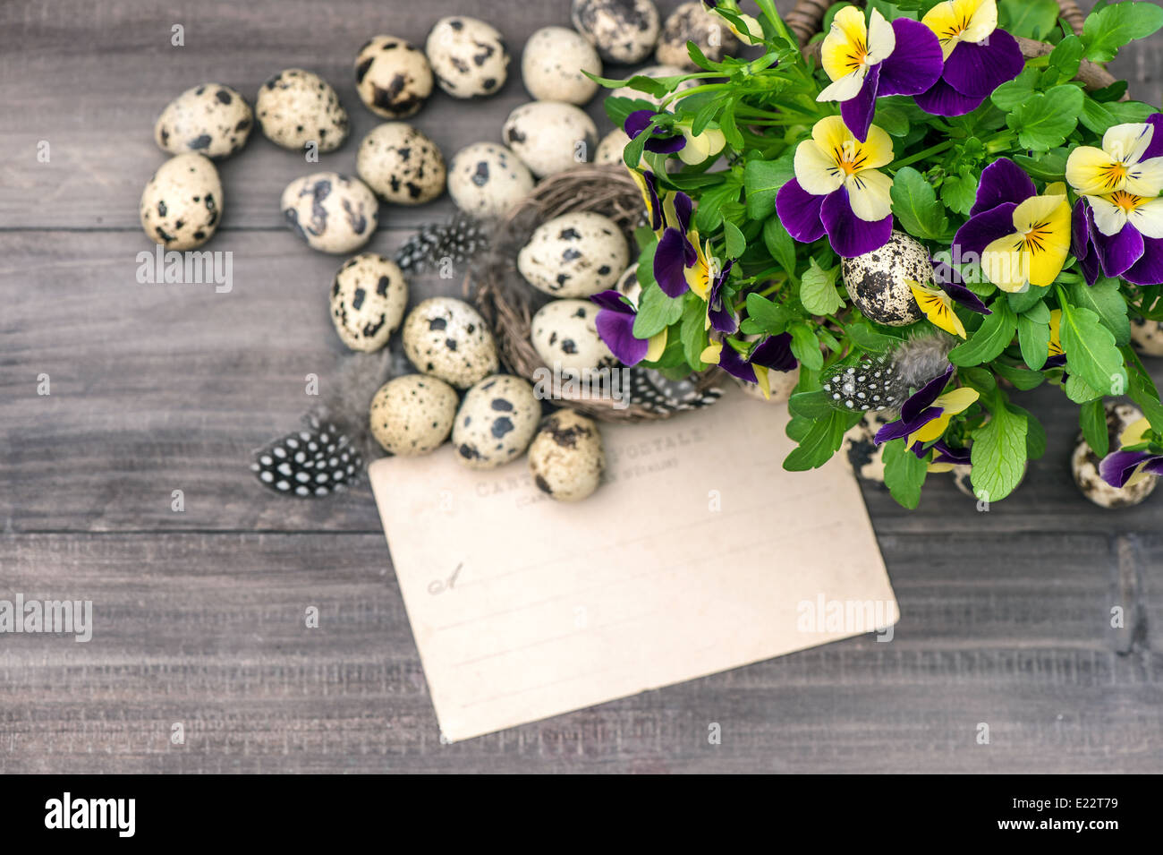 Stiefmütterchen Blüten, Wachteleiern und Grußkarte. Oster-Deko Stockfoto