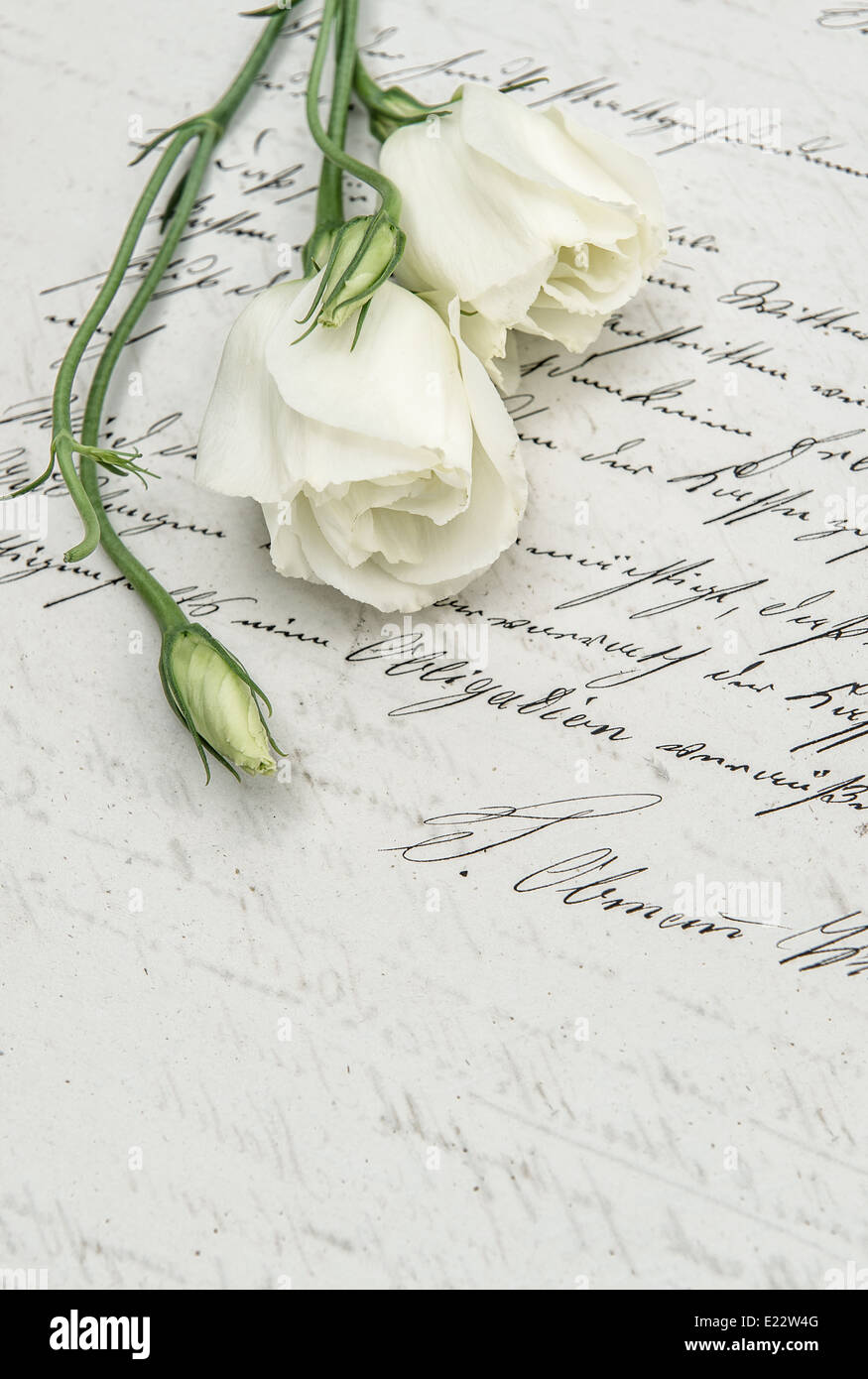 Antike handgeschriebenen Liebesbrief und Blumen. nostalgische sentimental Hintergrund. Retro-Stil getönten Bild Stockfoto