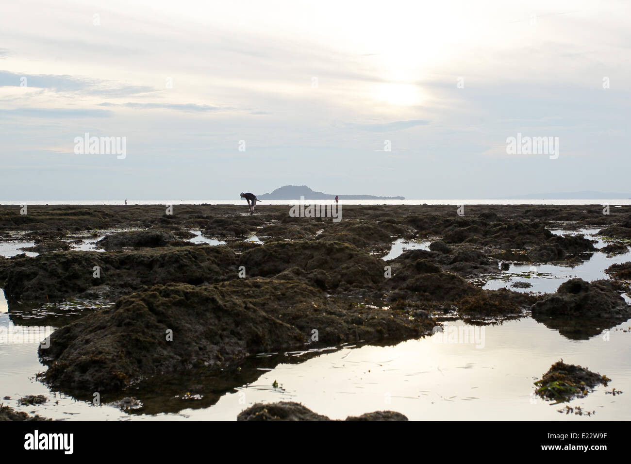 Hindang Leyte, Philippinen. 12. Juni 2014. Fischer suchen Muscheln während Sandstraenden in Hindang, Leyte am 12. Juni 2013. Am 8. November 2013 verwüsteten Haiyan, eines der mächtigsten Taifun je Land, treffen Ost-Visayas verlassen Tausende Tote und Obdachlose. Die Regierung schätzt 16 Millionen Menschen durch den Taifun mit 6.300 Tote gemeldet und Tausende mehr fehlende betroffen sind. Gehäuse und Lebensunterhalt gehören zu den Herausforderungen in den Rehabilitationsprozess in Haiyan betroffenen Gebieten sieben Monate nach der Katastrophe. © Mark Cristino/NurPhoto/ZUMAPRESS.com/Alamy Live-Nachrichten Stockfoto