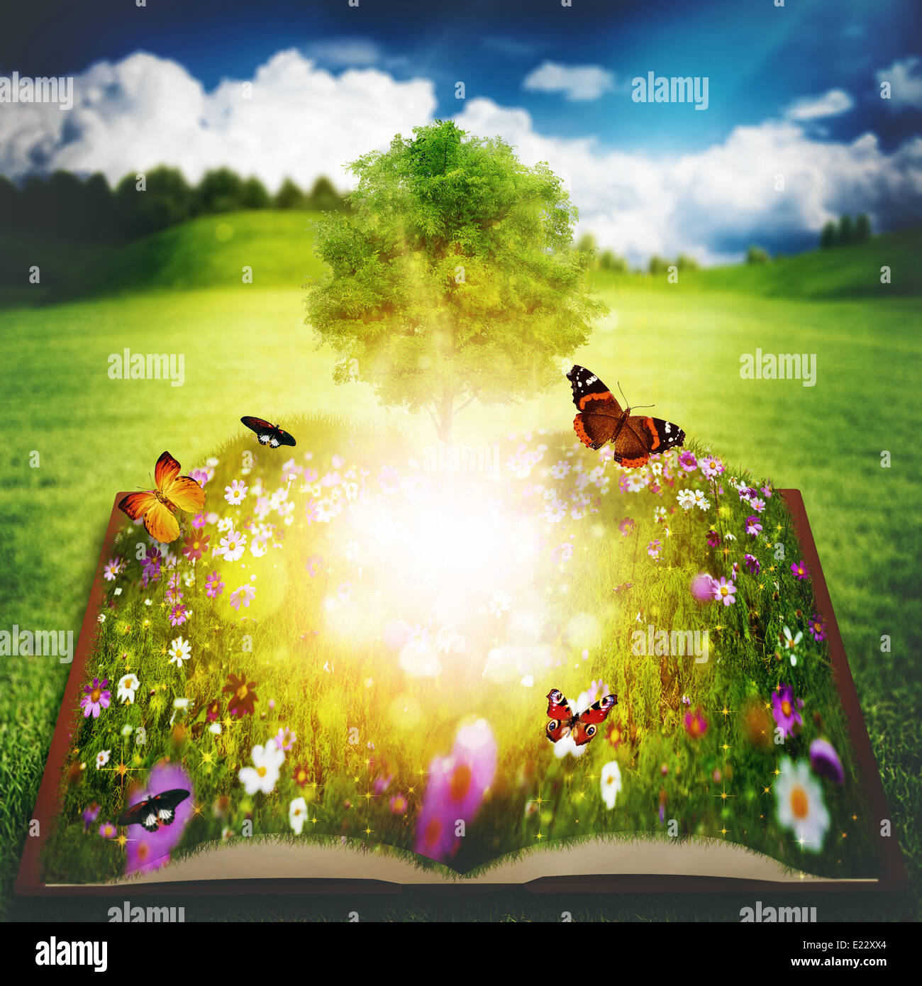 Baum der erkenntnis Fotos und Bildmaterial in hoher Auflösung Alamy