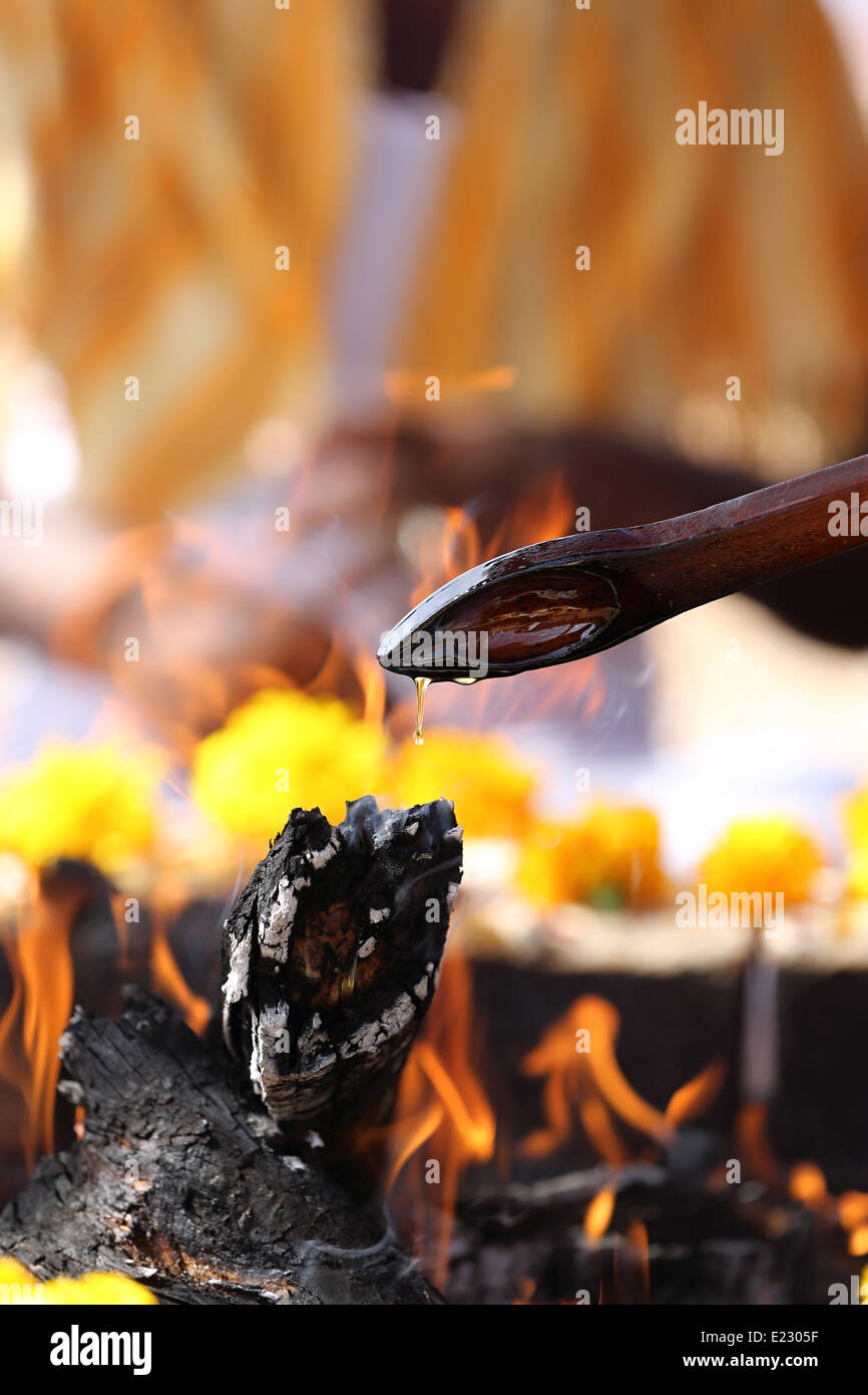 Indische Priester gießt Öl ins Feuer Puja Indien Stockfoto
