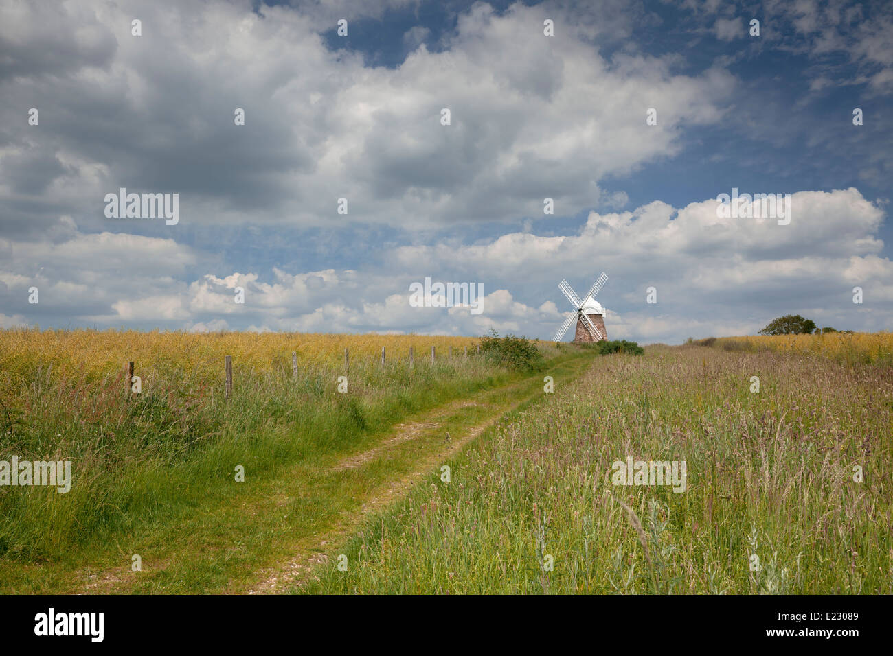 Halnaker Windmühle in der South Downs National Park in der Nähe von Chichester, West Sussex, England, UK Stockfoto