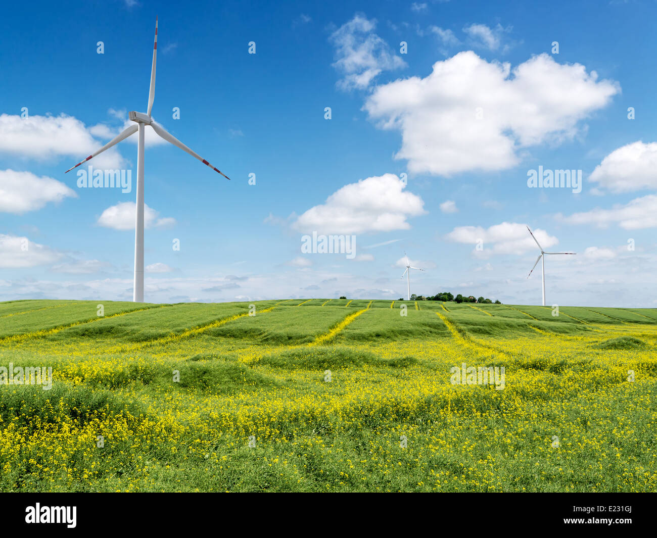 Grünes Feld mit drei Windenergieanlagen gegen blauen Himmel Stockfoto
