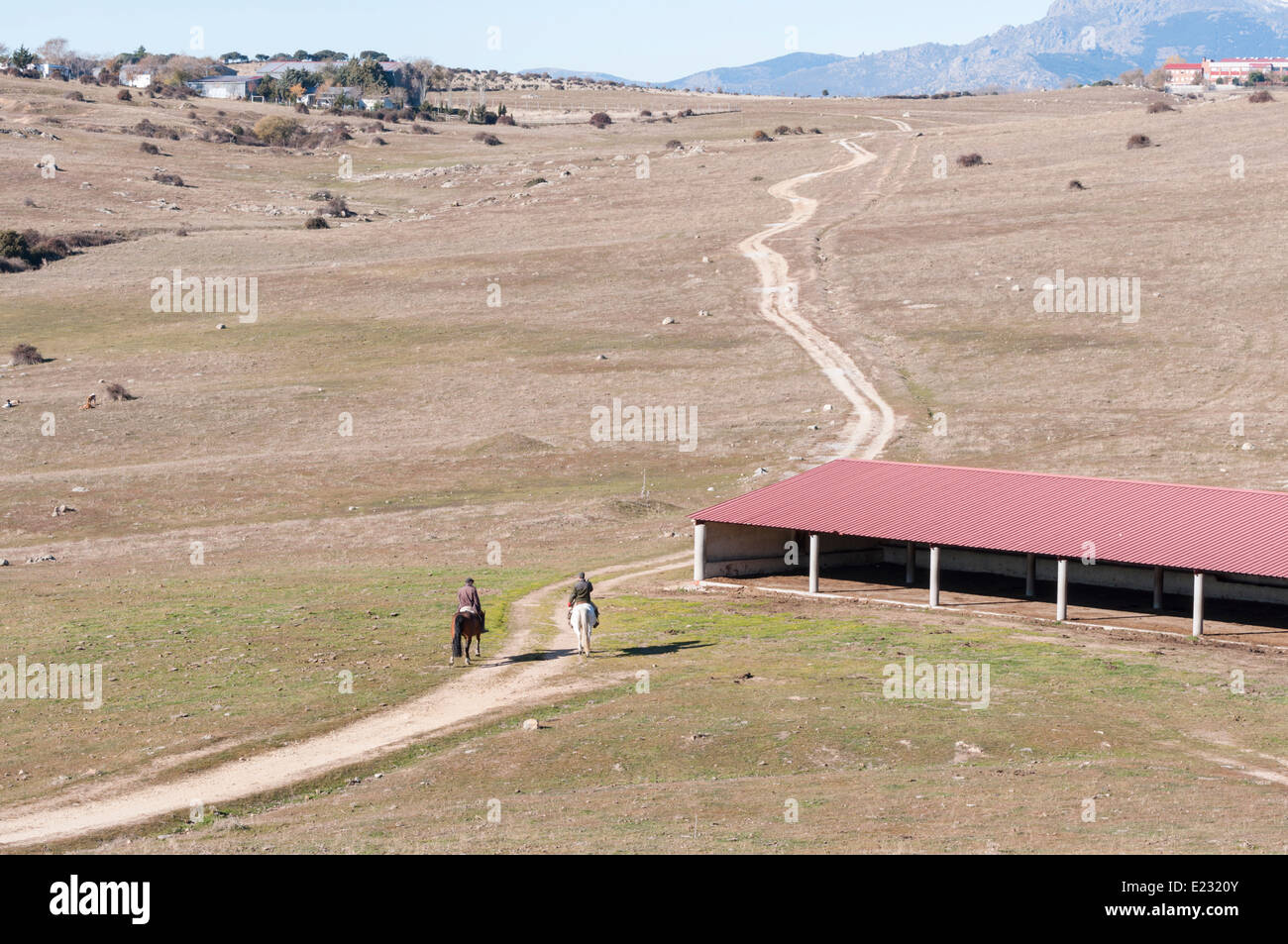 Befreien ein Pferd in Dehesa de Navalvillar, Colmenar Viejo, Madrid, Spanien. Stockfoto