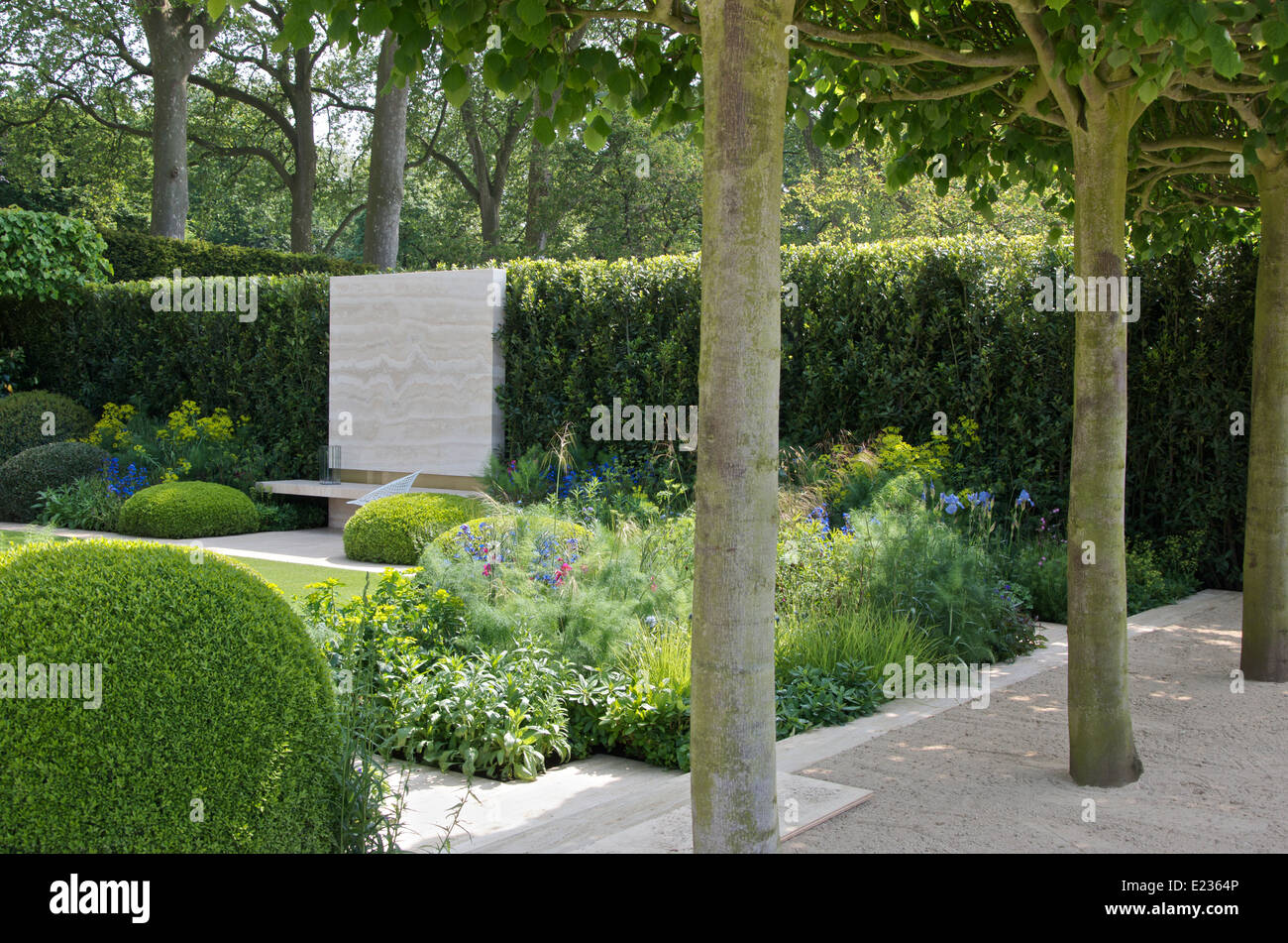 Ausgebildete Linden in The Telegraph Garten, entworfen von Tommaso del Buono und Paul Gazerwitz im RHS Chelsea Flower Show Stockfoto