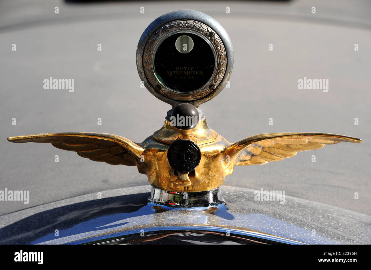 Emblem und "motor Meter" von einem Lincoln aus den 1930er Jahren gesehen auf dem Gelände der Oldtimer Markt in Bockhorn, Deutschland, 14. Juni 2014. Der Markt läuft drei Tage lang. Foto: Ingo Wagner/dpa Stockfoto